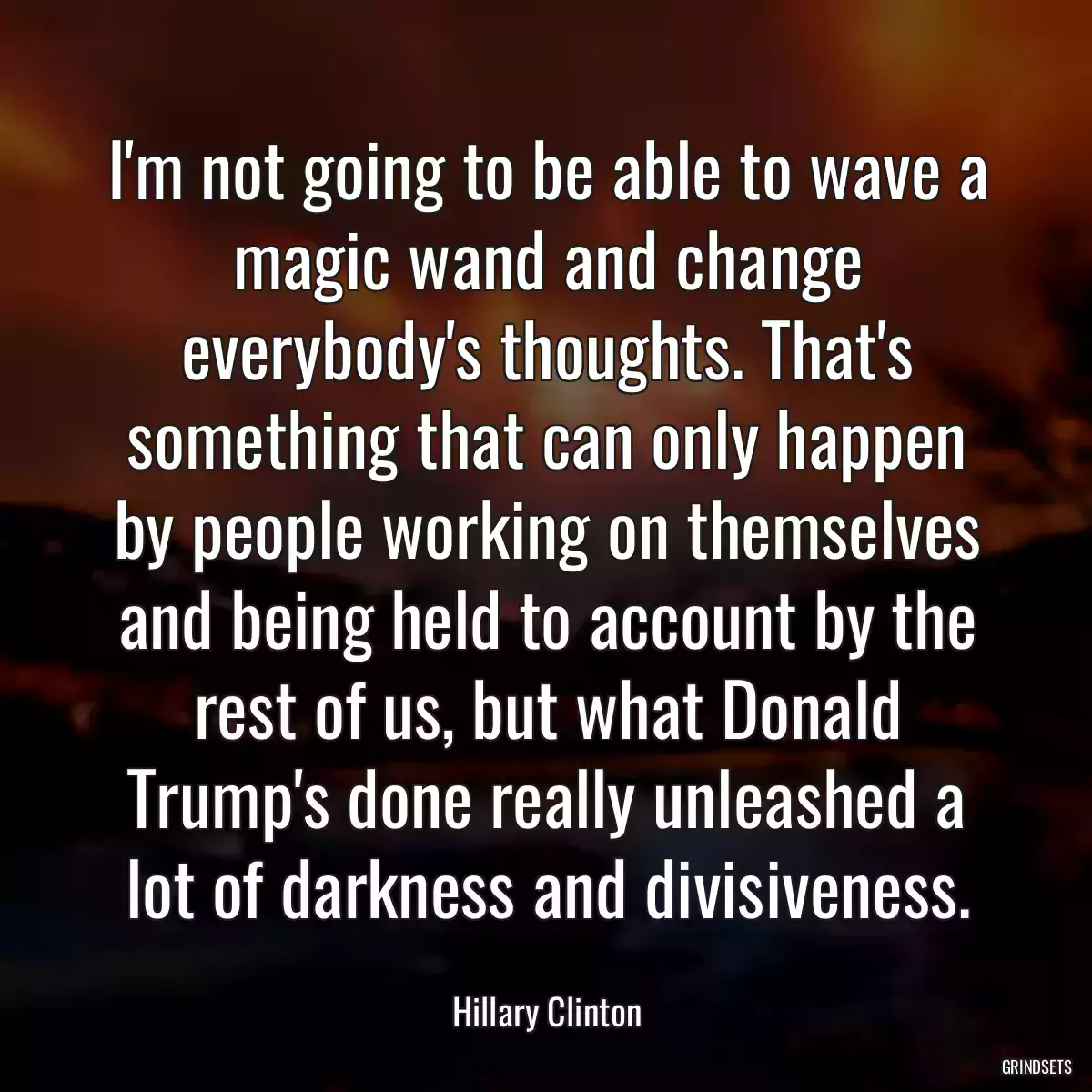 I\'m not going to be able to wave a magic wand and change everybody\'s thoughts. That\'s something that can only happen by people working on themselves and being held to account by the rest of us, but what Donald Trump\'s done really unleashed a lot of darkness and divisiveness.