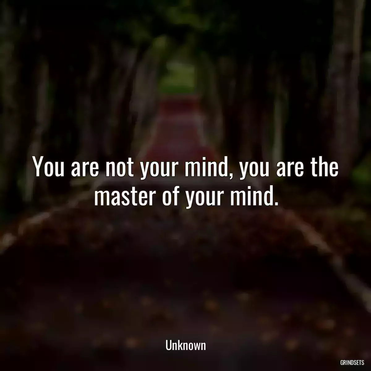 You are not your mind, you are the master of your mind.