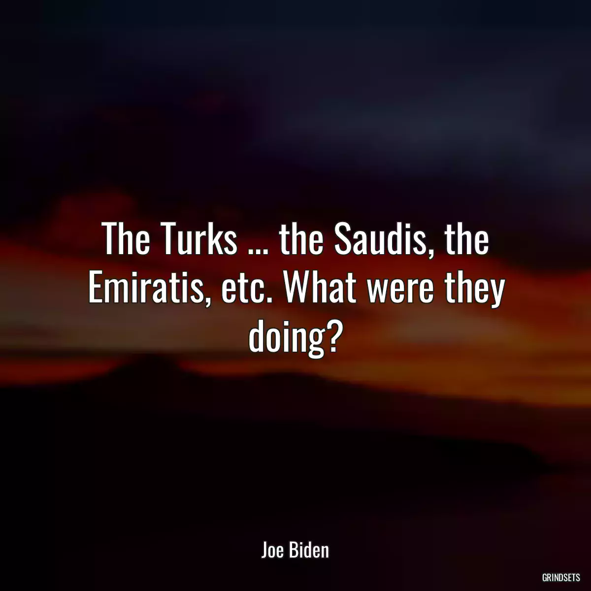 The Turks ... the Saudis, the Emiratis, etc. What were they doing?