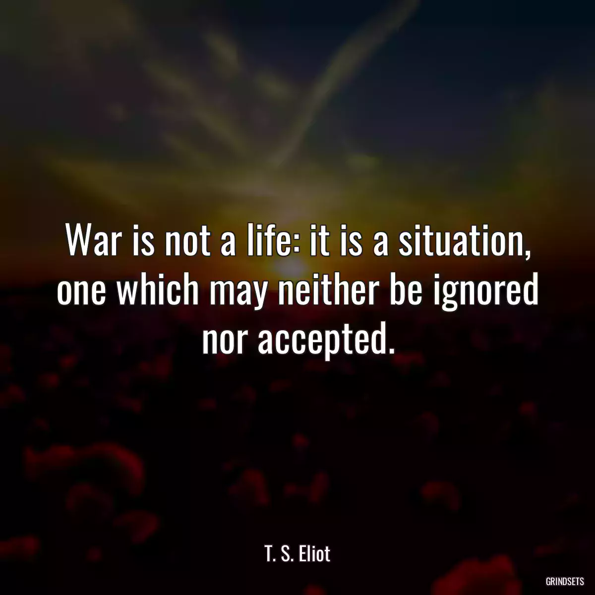 War is not a life: it is a situation, one which may neither be ignored nor accepted.