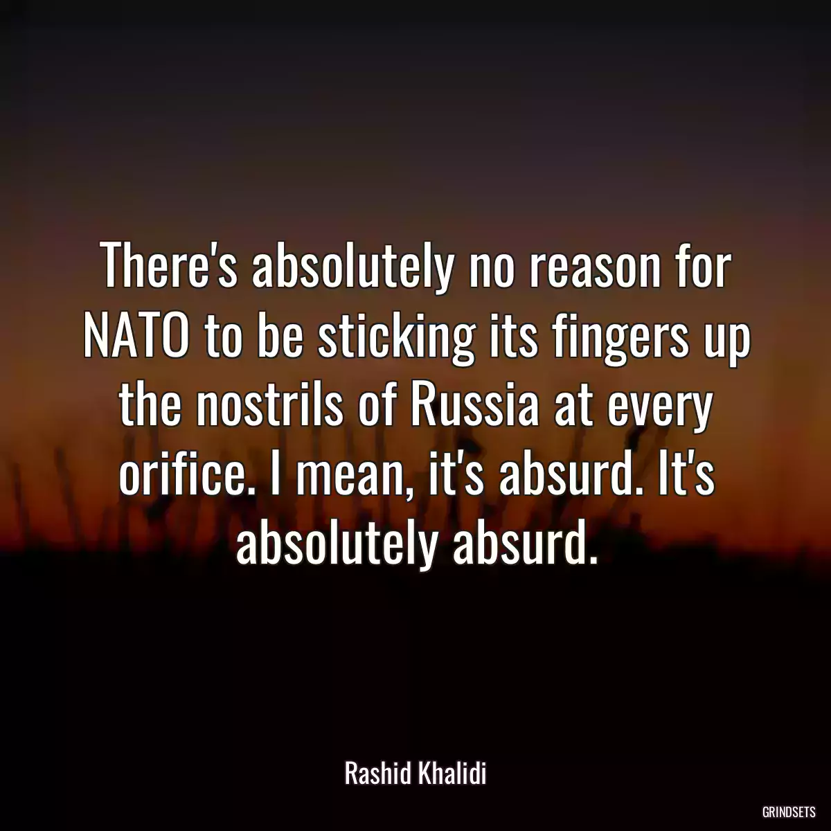 There\'s absolutely no reason for NATO to be sticking its fingers up the nostrils of Russia at every orifice. I mean, it\'s absurd. It\'s absolutely absurd.