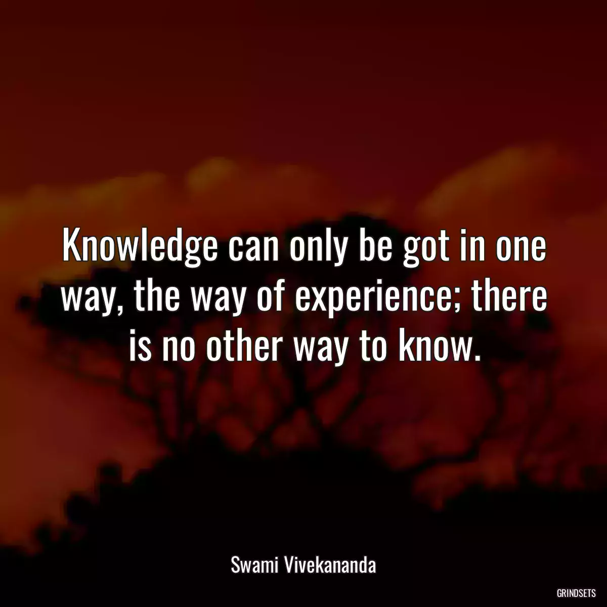 Knowledge can only be got in one way, the way of experience; there is no other way to know.