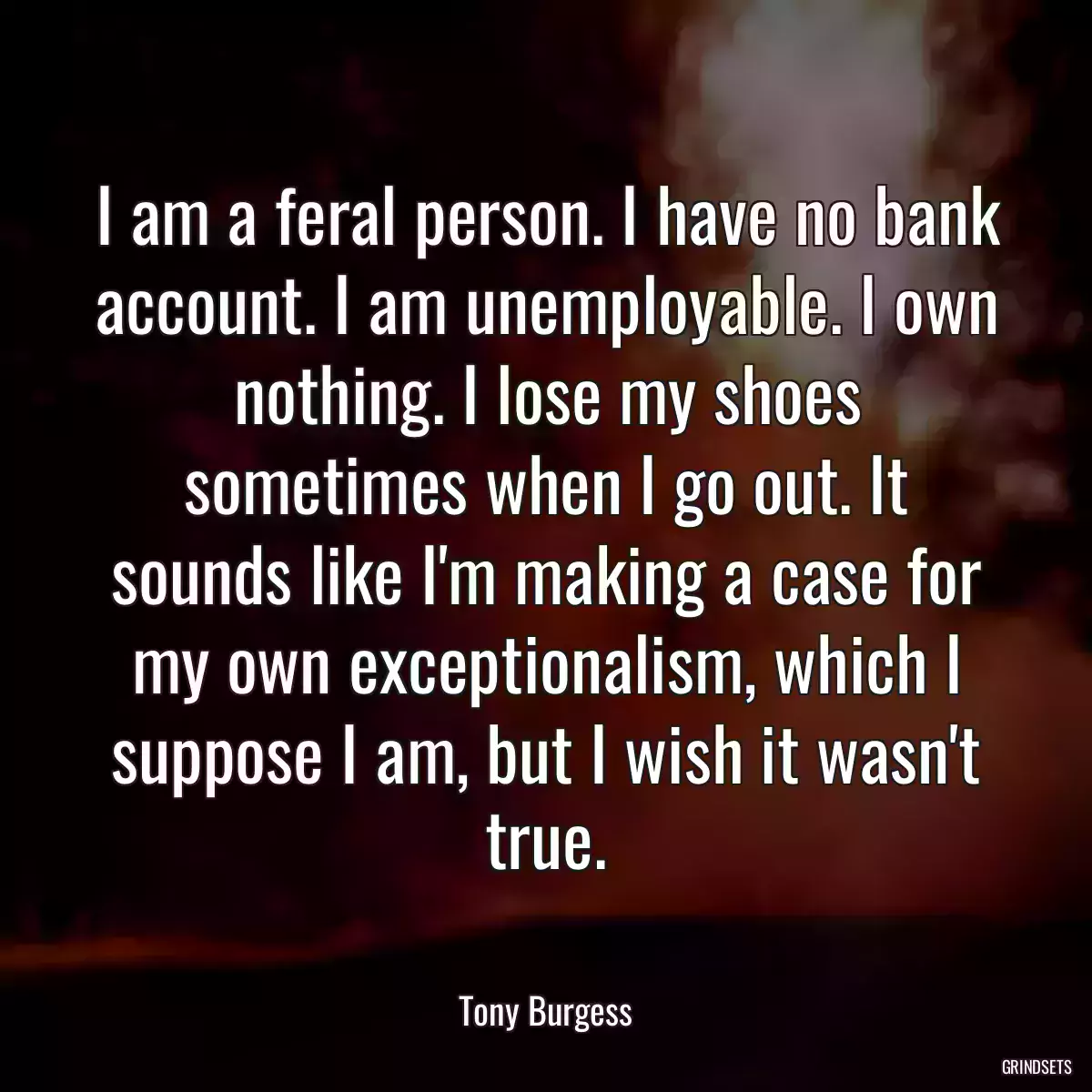 I am a feral person. I have no bank account. I am unemployable. I own nothing. I lose my shoes sometimes when I go out. It sounds like I\'m making a case for my own exceptionalism, which I suppose I am, but I wish it wasn\'t true.