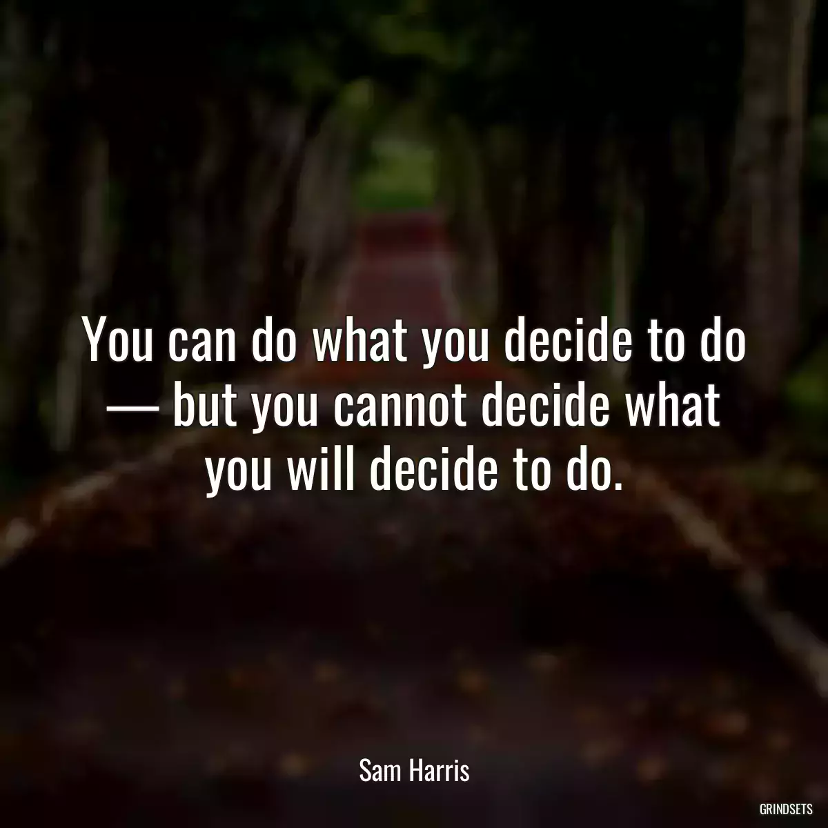 You can do what you decide to do — but you cannot decide what you will decide to do.