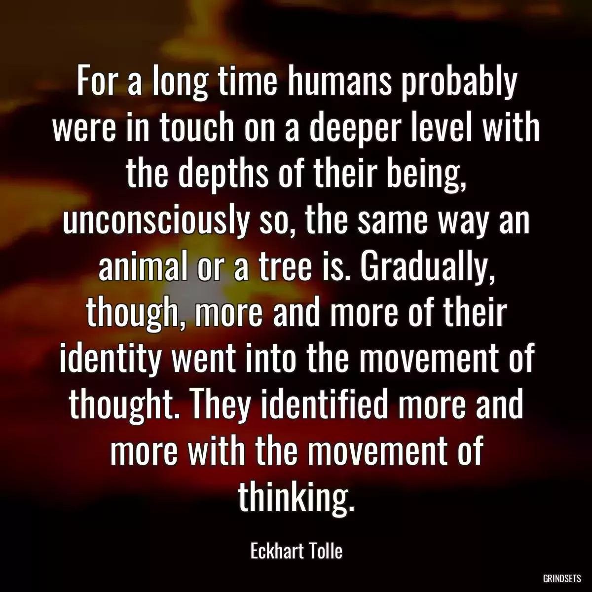 For a long time humans probably were in touch on a deeper level with the depths of their being, unconsciously so, the same way an animal or a tree is. Gradually, though, more and more of their identity went into the movement of thought. They identified more and more with the movement of thinking.