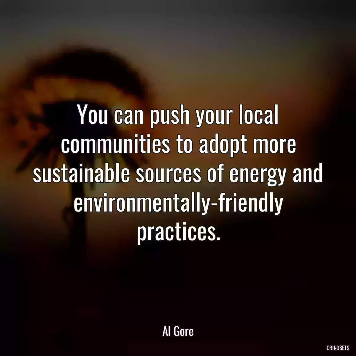 You can push your local communities to adopt more sustainable sources of energy and environmentally-friendly practices.