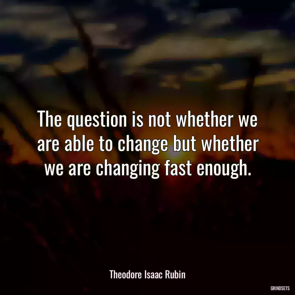 The question is not whether we are able to change but whether we are changing fast enough.