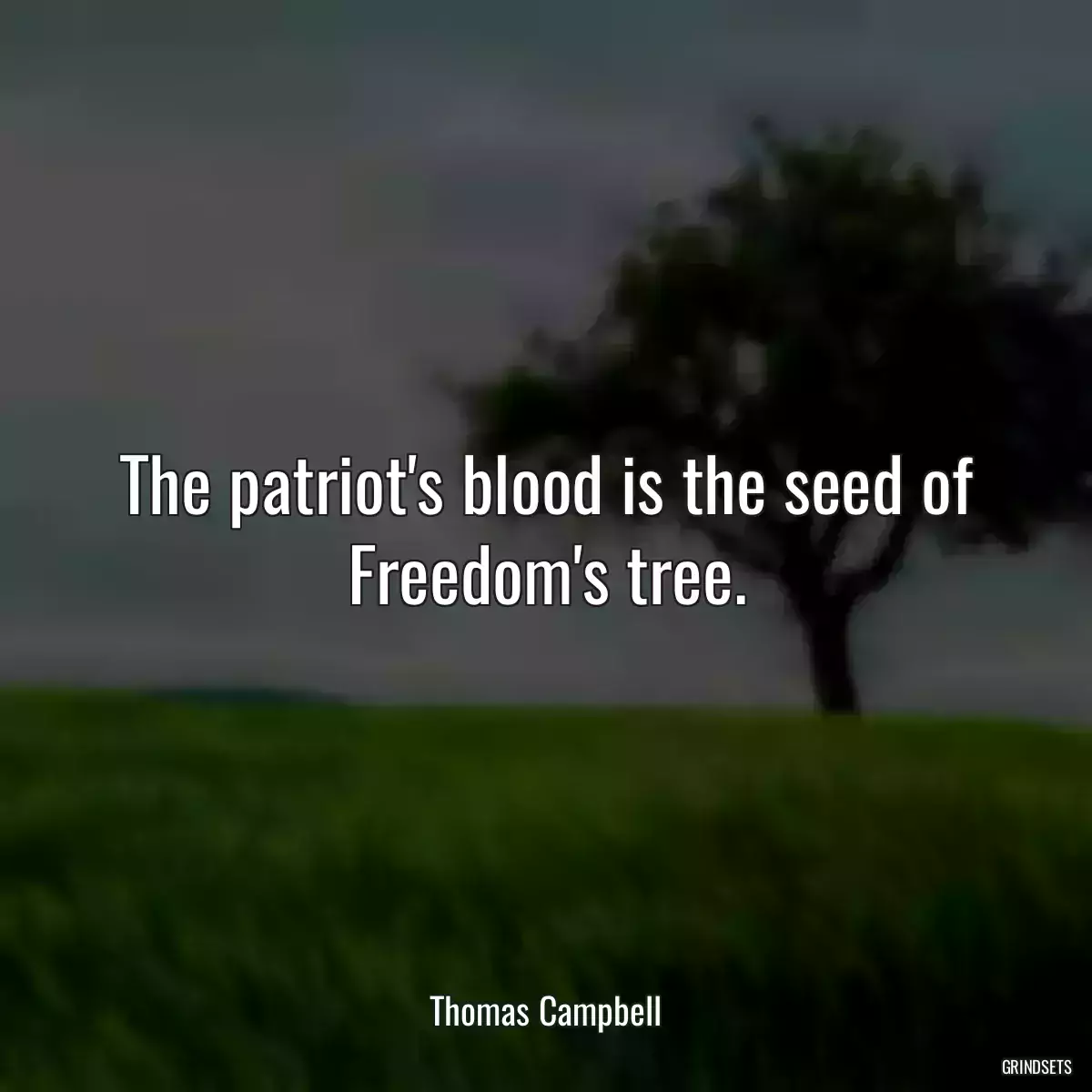 The patriot\'s blood is the seed of Freedom\'s tree.