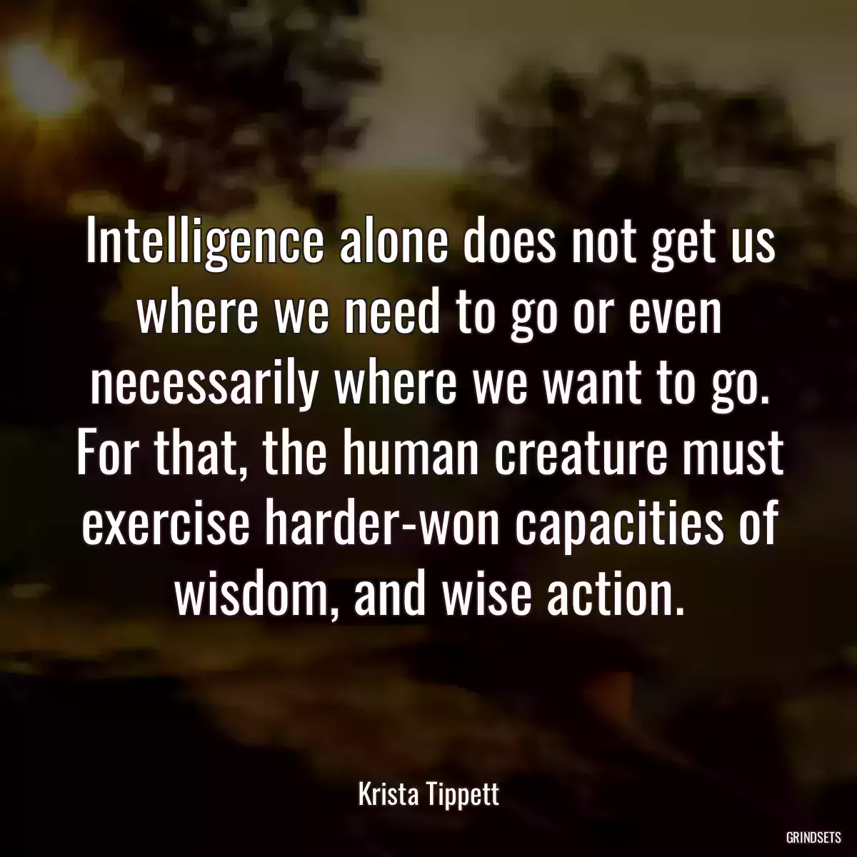 Intelligence alone does not get us where we need to go or even necessarily where we want to go. For that, the human creature must exercise harder-won capacities of wisdom, and wise action.