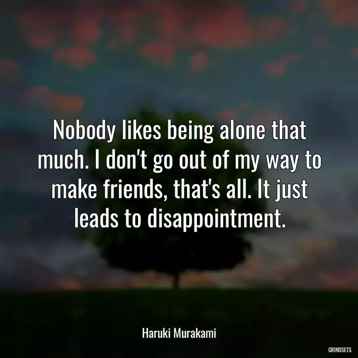 Nobody likes being alone that much. I don\'t go out of my way to make friends, that\'s all. It just leads to disappointment.