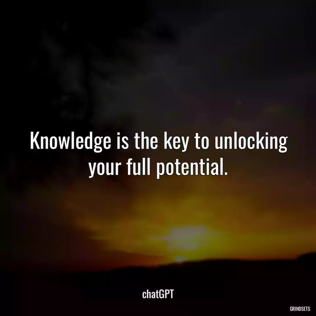 Knowledge is the key to unlocking your full potential.