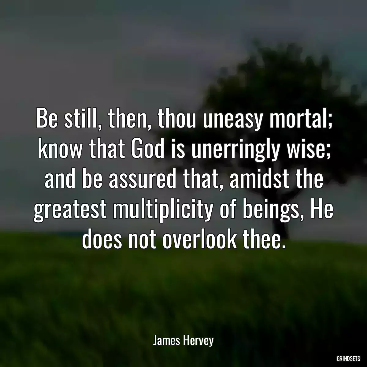 Be still, then, thou uneasy mortal; know that God is unerringly wise; and be assured that, amidst the greatest multiplicity of beings, He does not overlook thee.