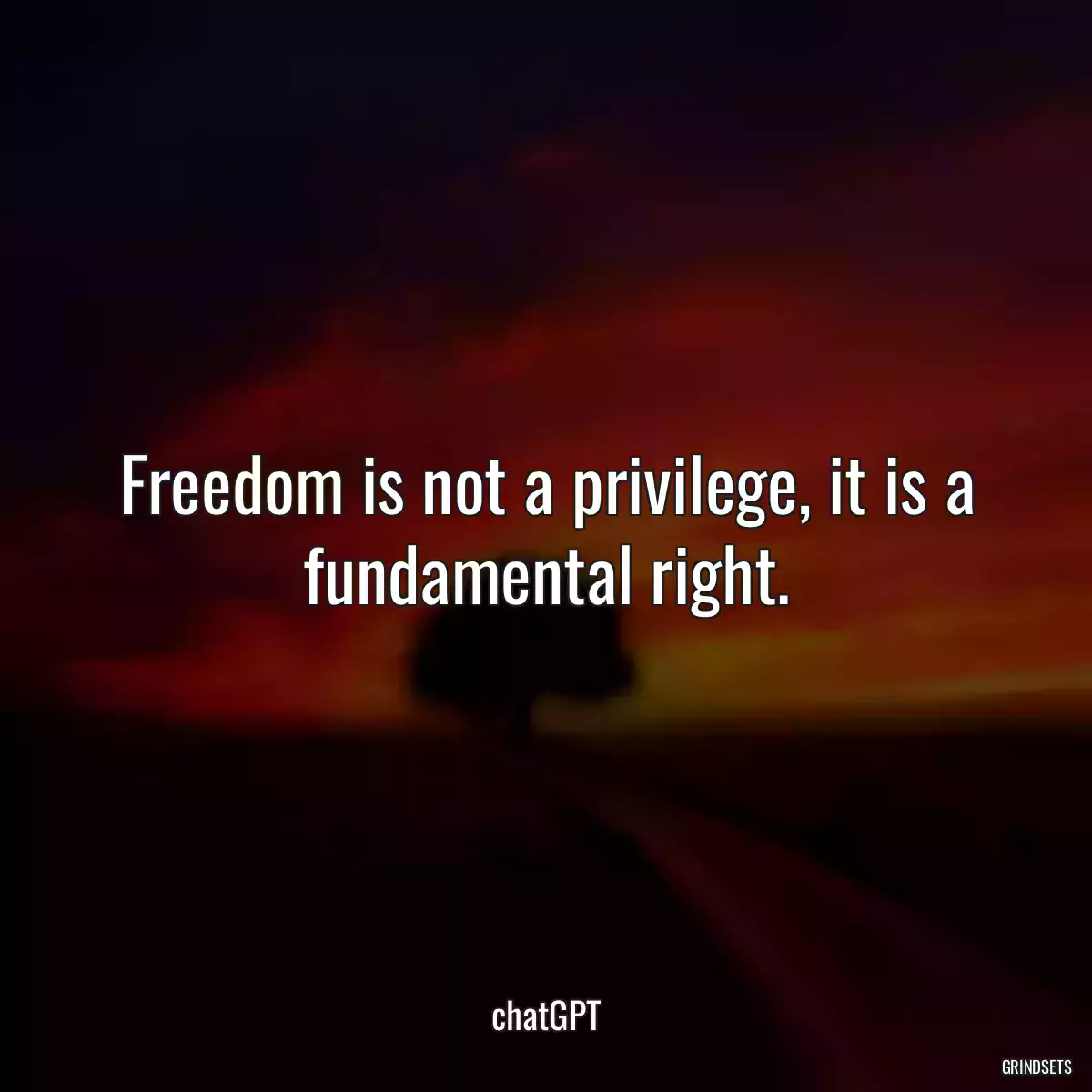 Freedom is not a privilege, it is a fundamental right.