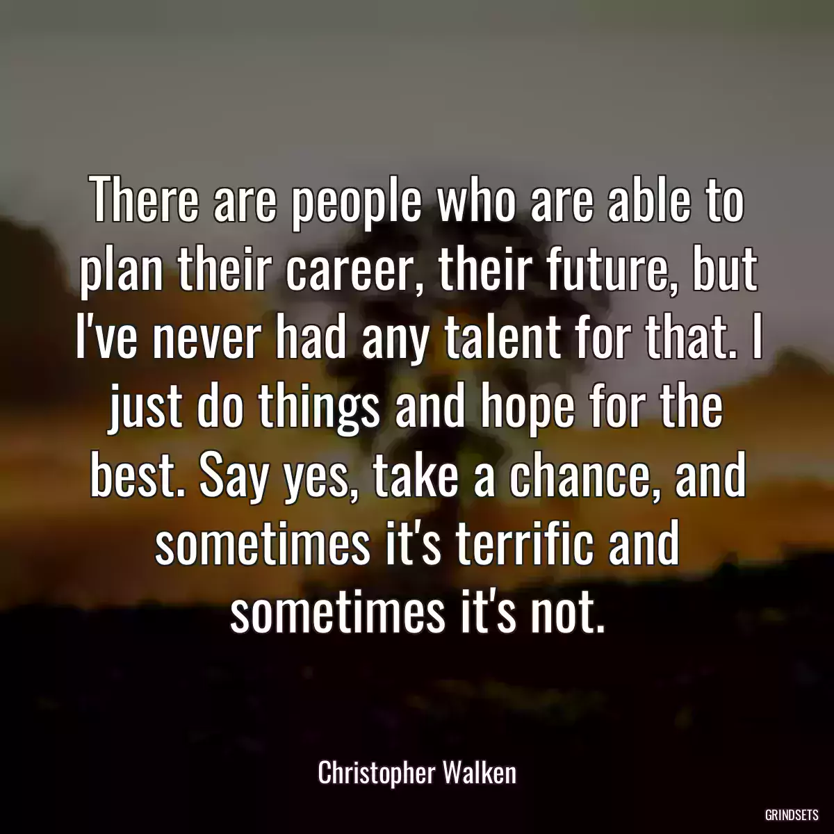 There are people who are able to plan their career, their future, but I\'ve never had any talent for that. I just do things and hope for the best. Say yes, take a chance, and sometimes it\'s terrific and sometimes it\'s not.