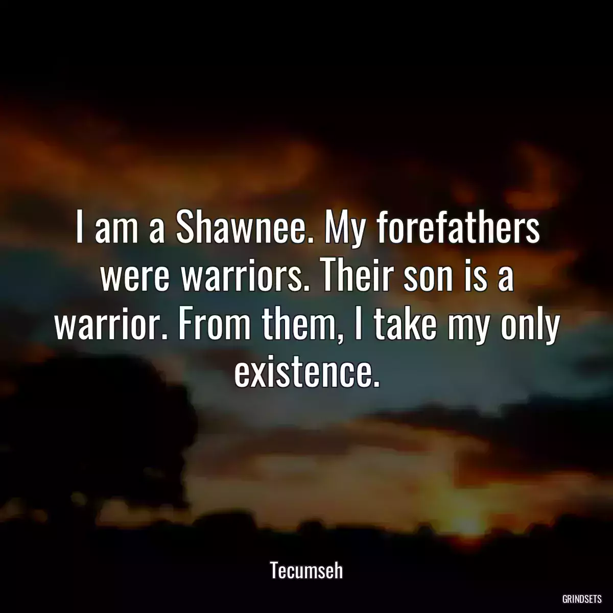 I am a Shawnee. My forefathers were warriors. Their son is a warrior. From them, I take my only existence.