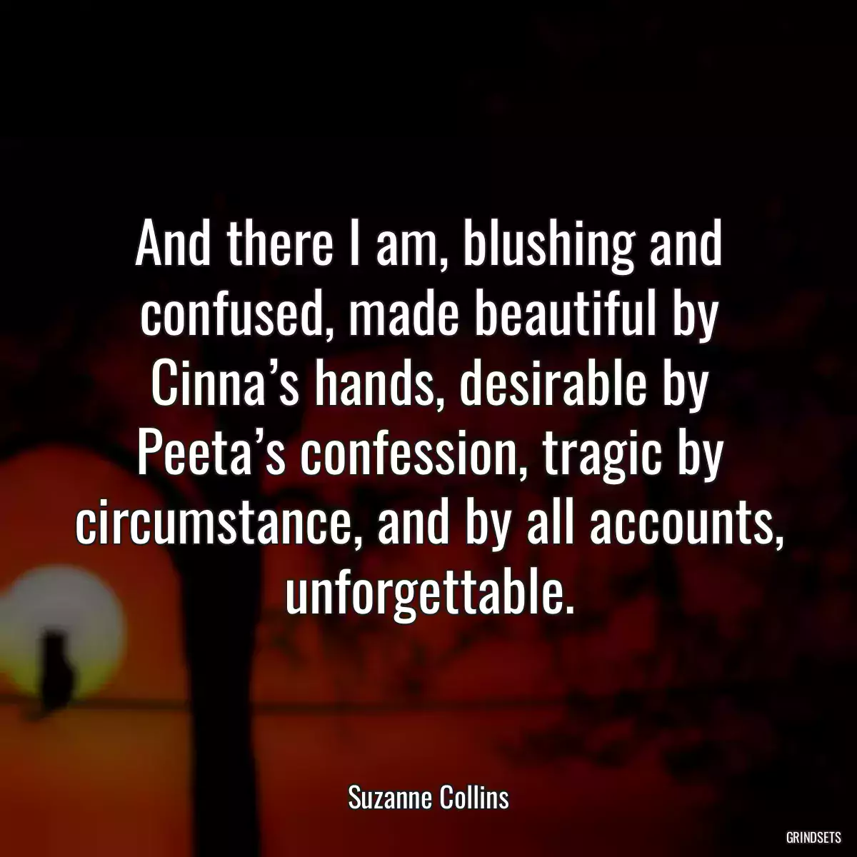 And there I am, blushing and confused, made beautiful by Cinna’s hands, desirable by Peeta’s confession, tragic by circumstance, and by all accounts, unforgettable.