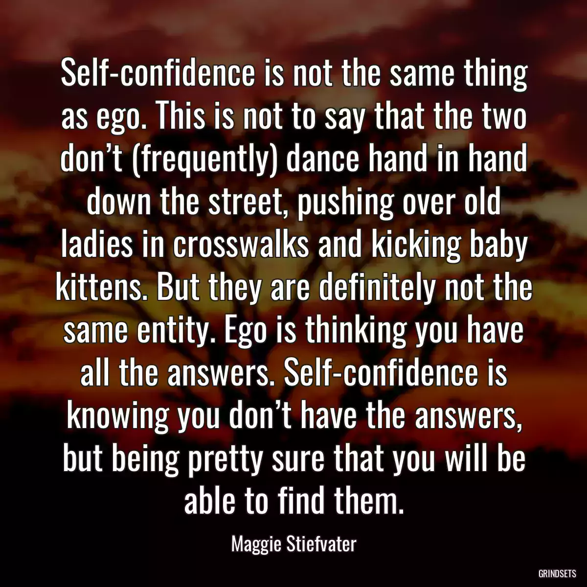 Self-confidence is not the same thing as ego. This is not to say that the two don’t (frequently) dance hand in hand down the street, pushing over old ladies in crosswalks and kicking baby kittens. But they are definitely not the same entity. Ego is thinking you have all the answers. Self-confidence is knowing you don’t have the answers, but being pretty sure that you will be able to find them.