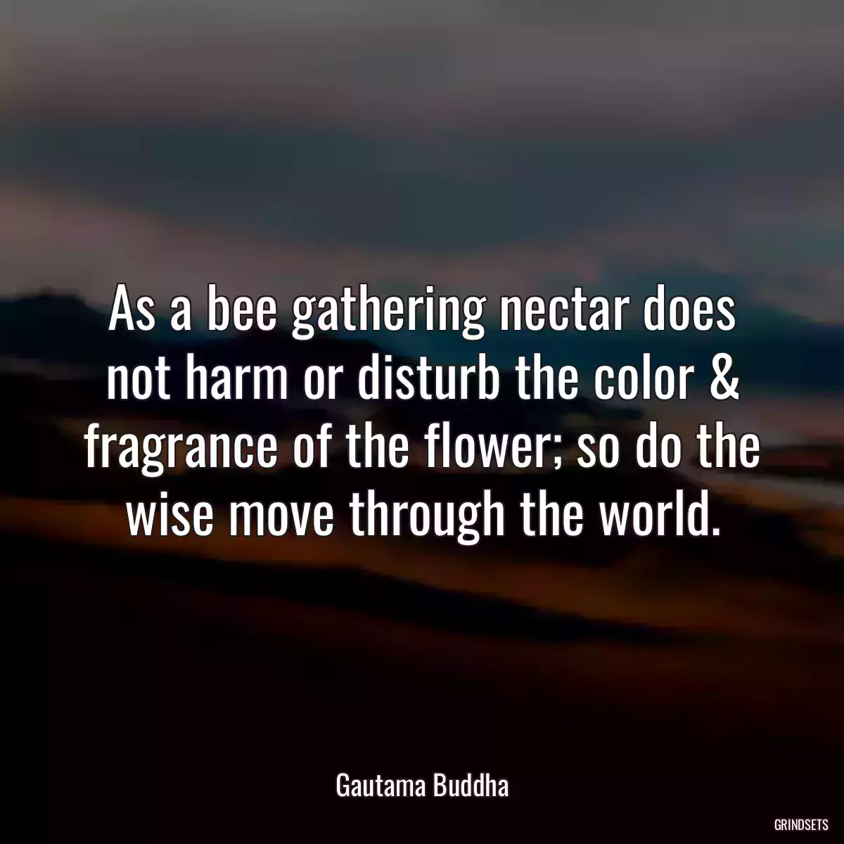 As a bee gathering nectar does not harm or disturb the color & fragrance of the flower; so do the wise move through the world.