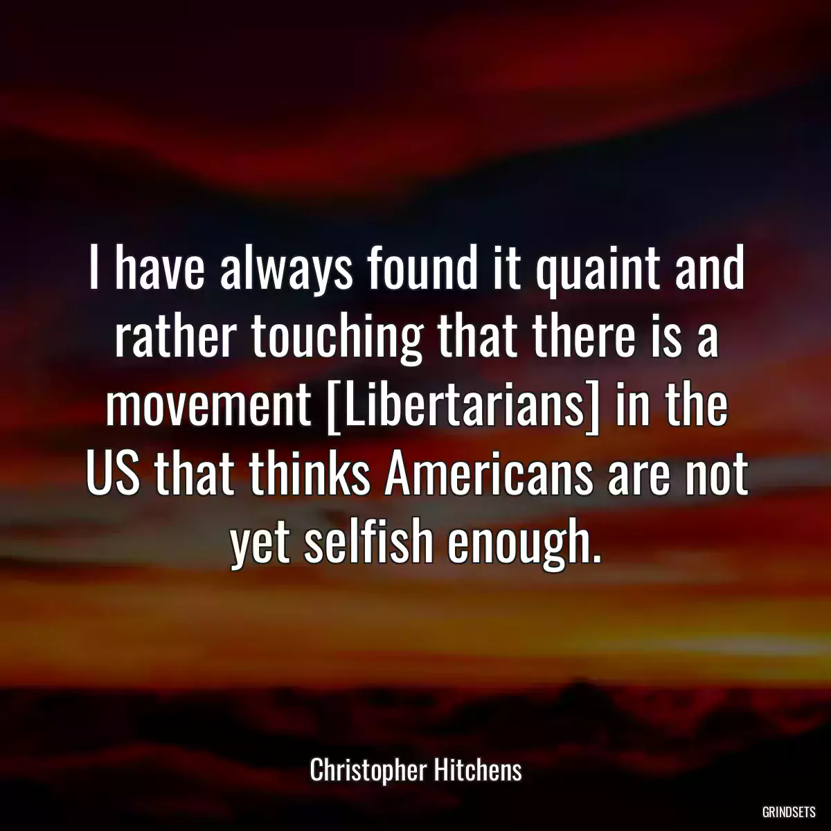 I have always found it quaint and rather touching that there is a movement [Libertarians] in the US that thinks Americans are not yet selfish enough.