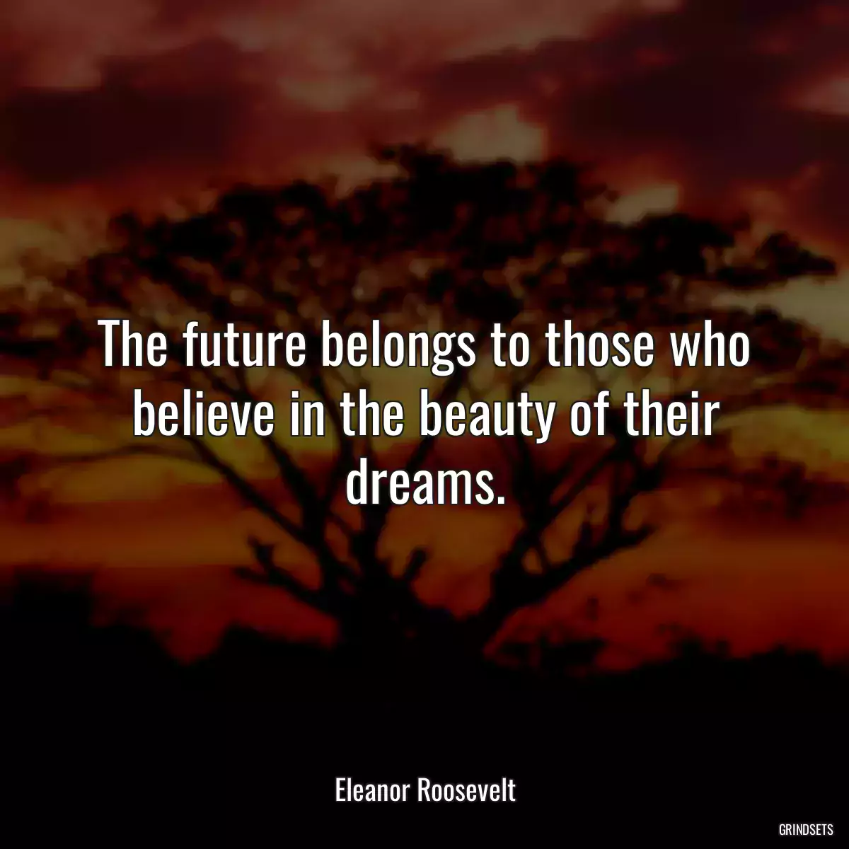 The future belongs to those who believe in the beauty of their dreams.