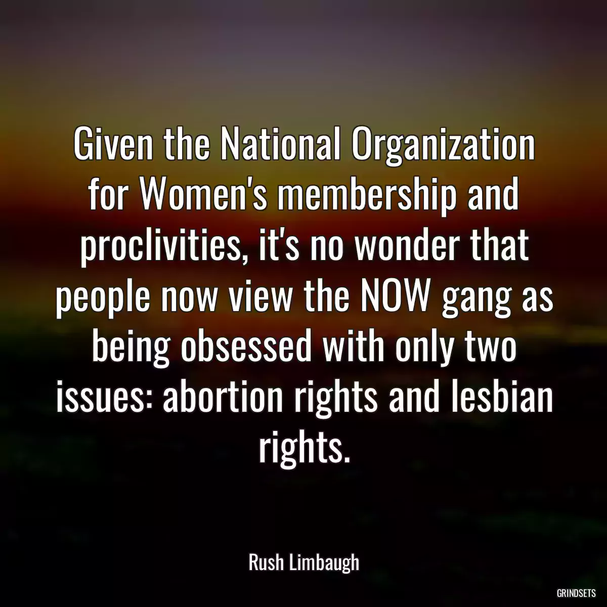 Given the National Organization for Women\'s membership and proclivities, it\'s no wonder that people now view the NOW gang as being obsessed with only two issues: abortion rights and lesbian rights.