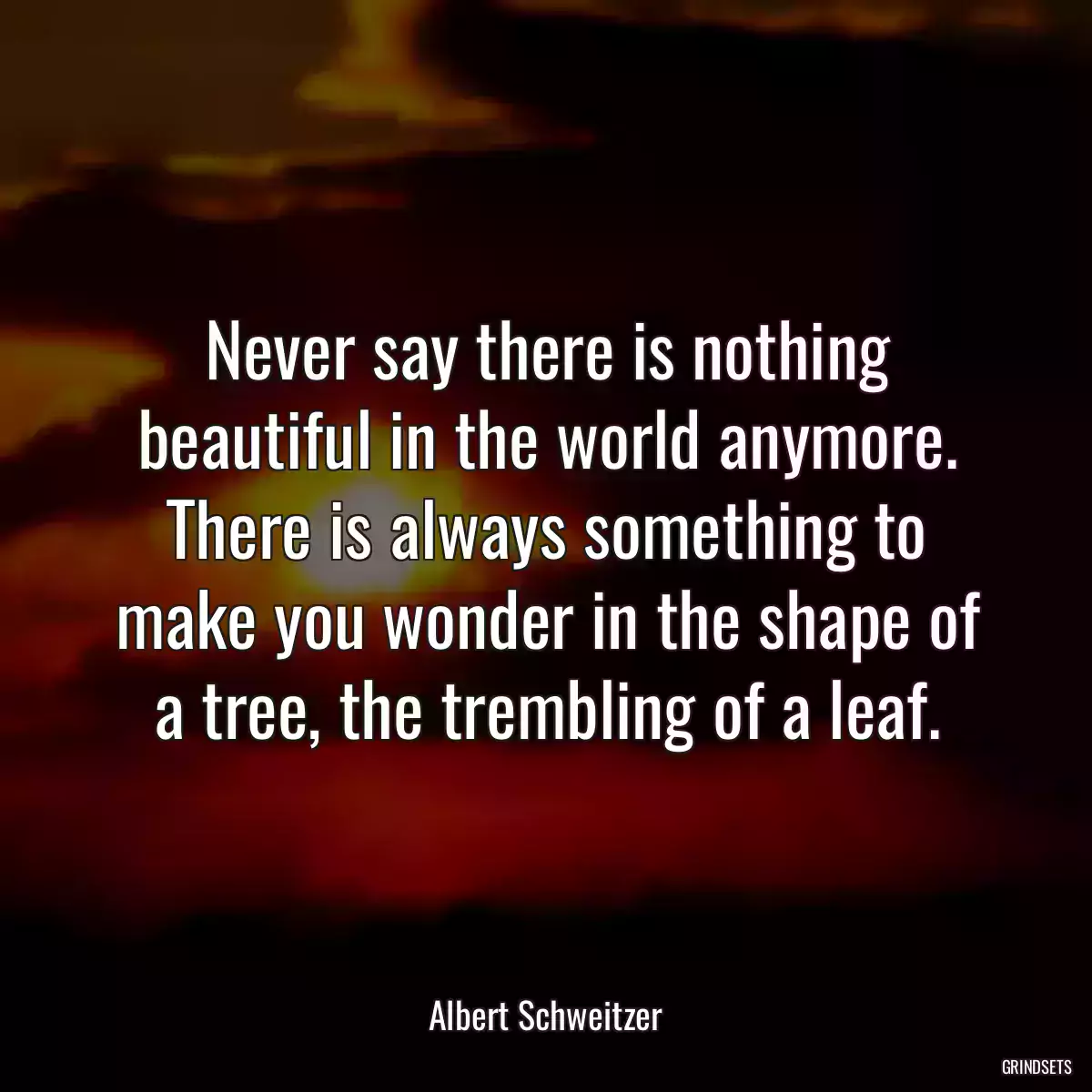 Never say there is nothing beautiful in the world anymore. There is always something to make you wonder in the shape of a tree, the trembling of a leaf.