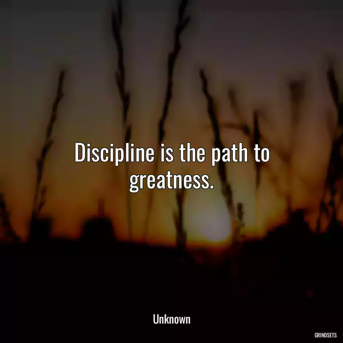 Discipline is the path to greatness.