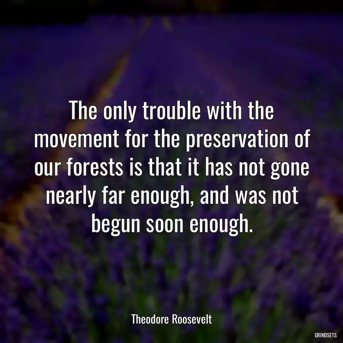 The only trouble with the movement for the preservation of our forests is that it has not gone nearly far enough, and was not begun soon enough.