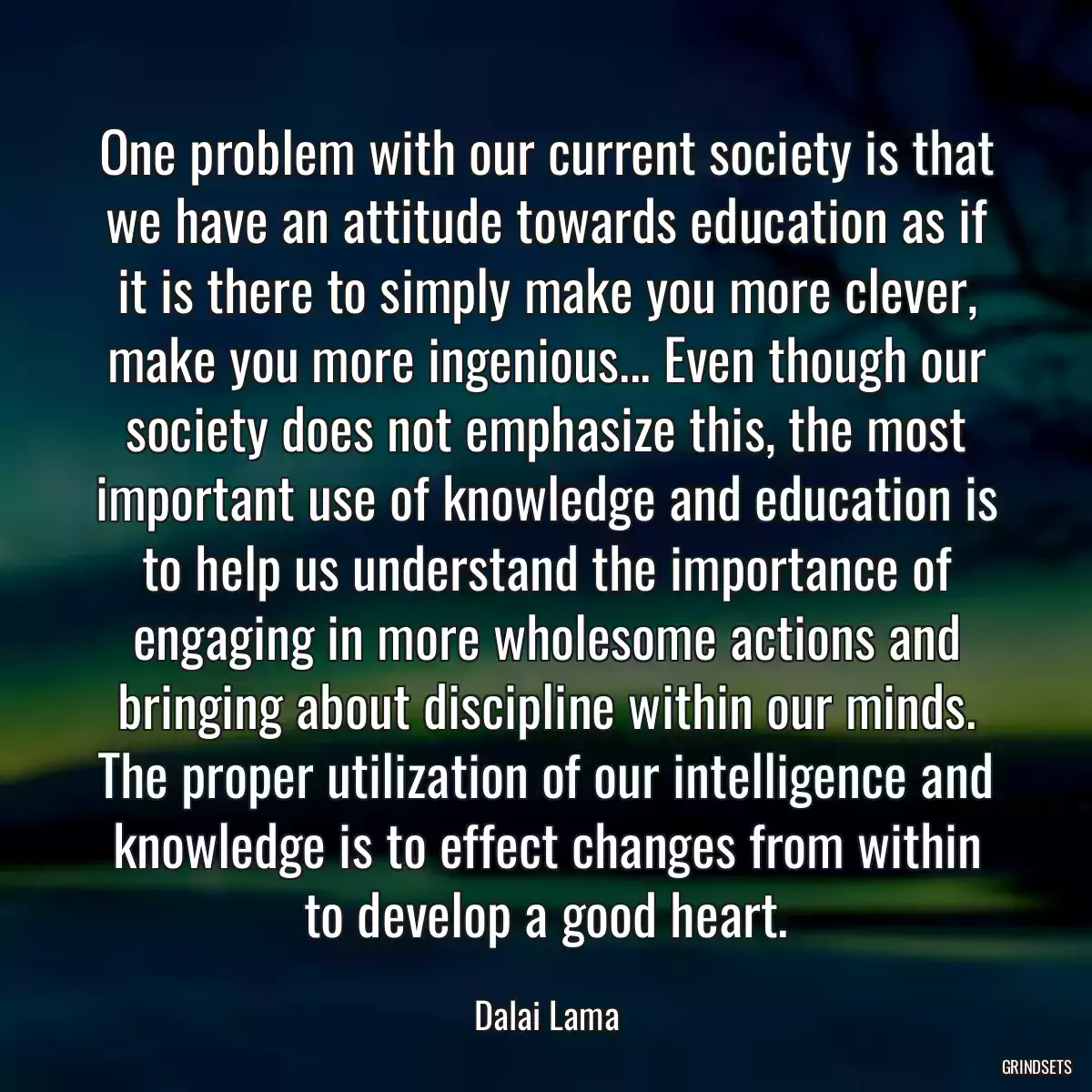 One problem with our current society is that we have an attitude towards education as if it is there to simply make you more clever, make you more ingenious... Even though our society does not emphasize this, the most important use of knowledge and education is to help us understand the importance of engaging in more wholesome actions and bringing about discipline within our minds. The proper utilization of our intelligence and knowledge is to effect changes from within to develop a good heart.