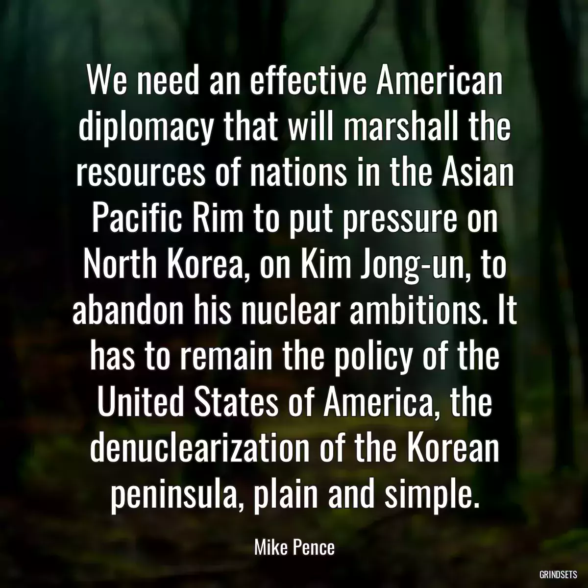 We need an effective American diplomacy that will marshall the resources of nations in the Asian Pacific Rim to put pressure on North Korea, on Kim Jong-un, to abandon his nuclear ambitions. It has to remain the policy of the United States of America, the denuclearization of the Korean peninsula, plain and simple.