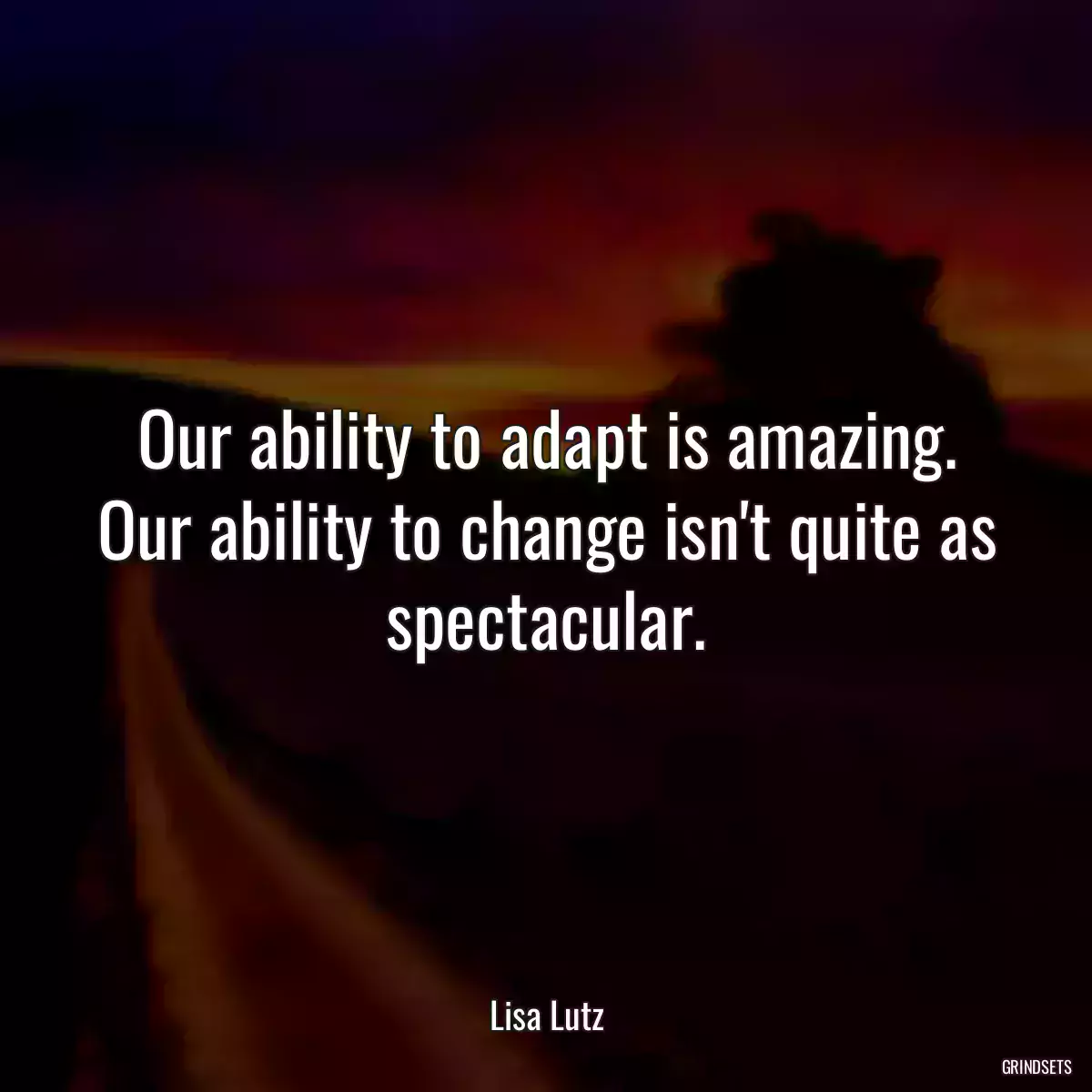 Our ability to adapt is amazing. Our ability to change isn\'t quite as spectacular.