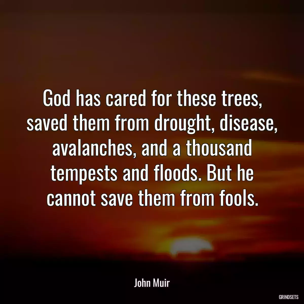 God has cared for these trees, saved them from drought, disease, avalanches, and a thousand tempests and floods. But he cannot save them from fools.