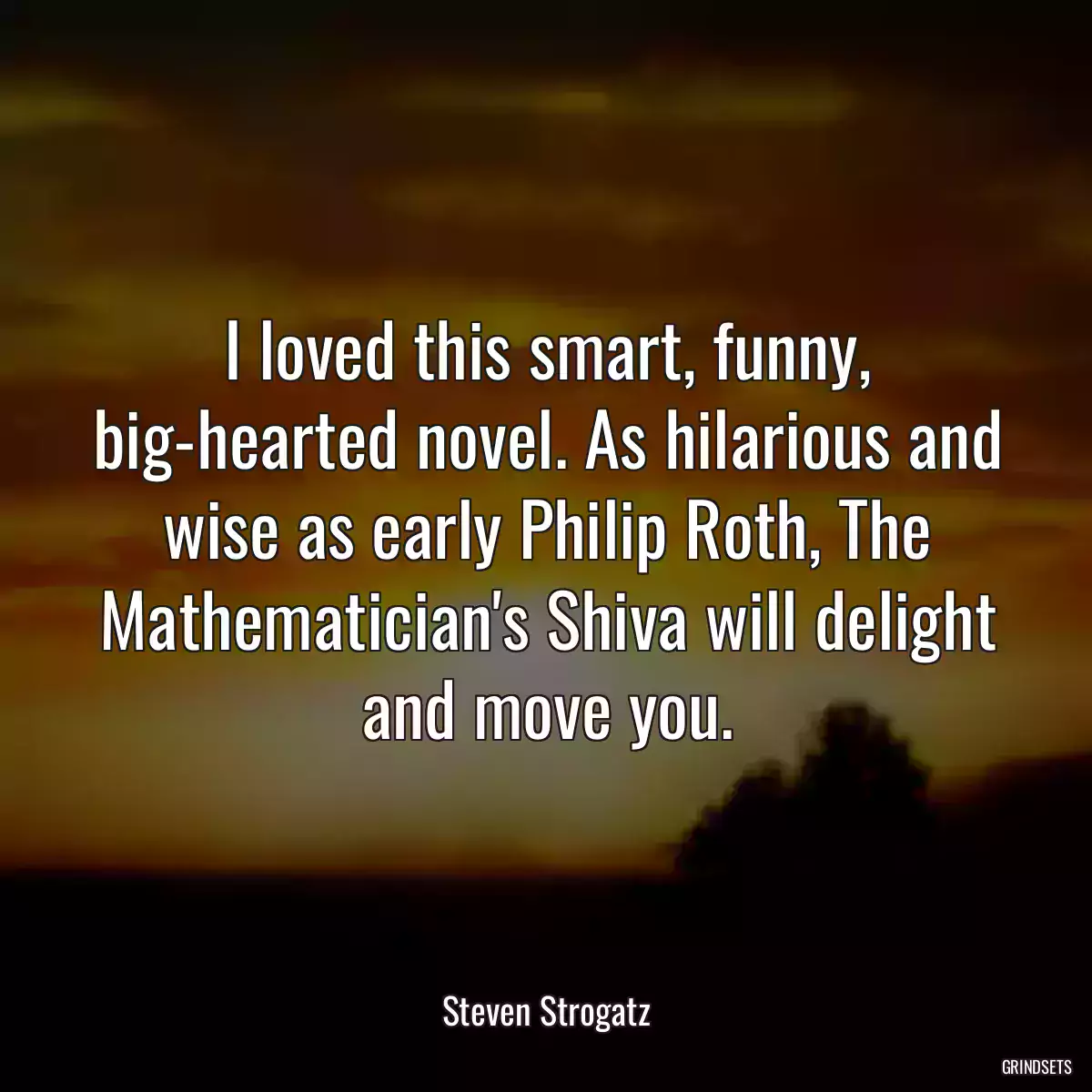 I loved this smart, funny, big-hearted novel. As hilarious and wise as early Philip Roth, The Mathematician\'s Shiva will delight and move you.