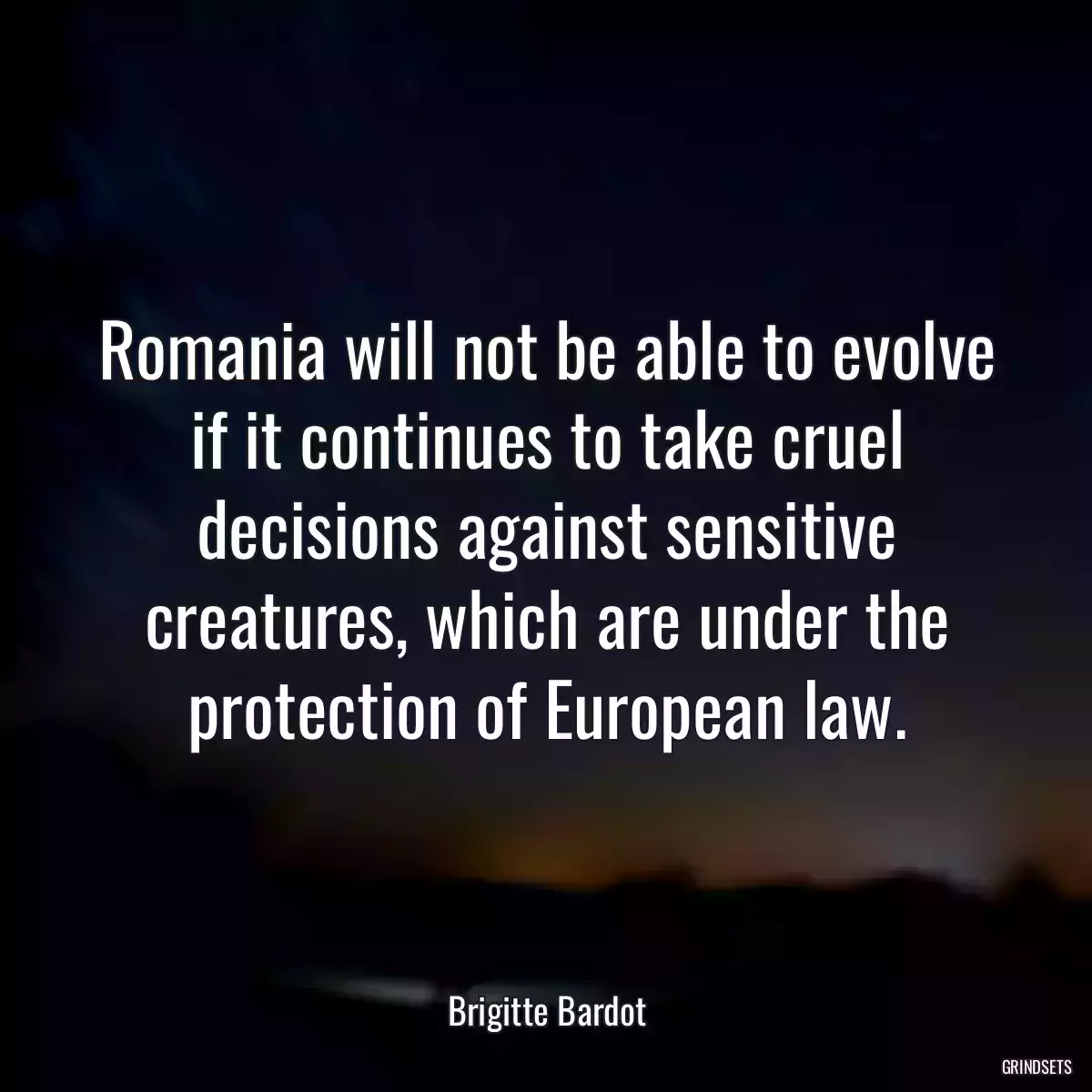 Romania will not be able to evolve if it continues to take cruel decisions against sensitive creatures, which are under the protection of European law.