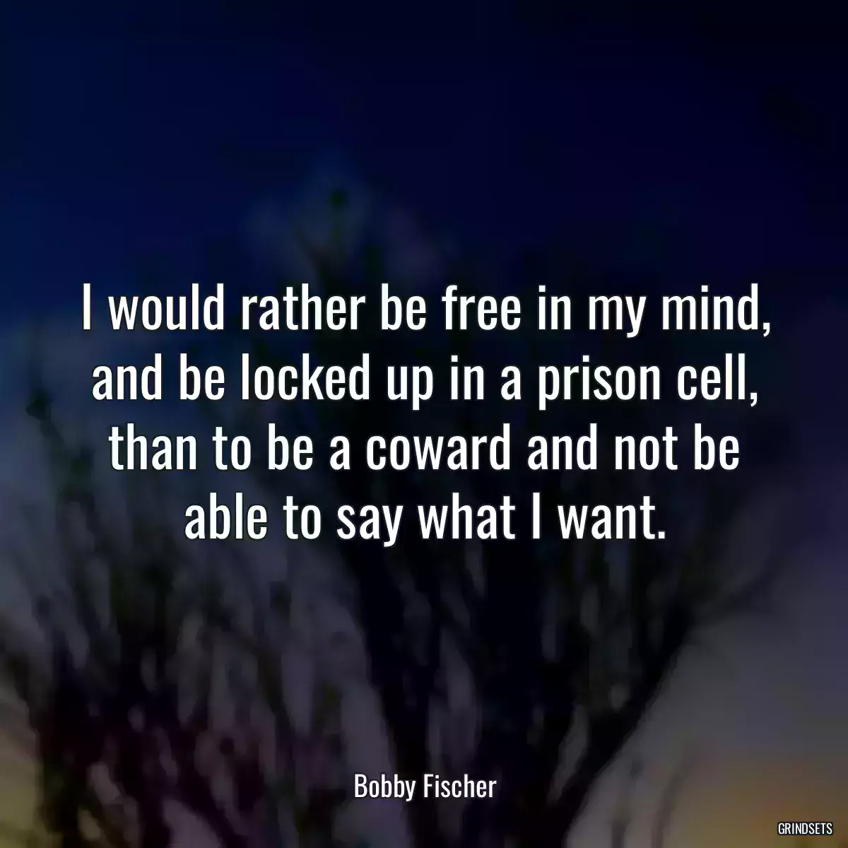 I would rather be free in my mind, and be locked up in a prison cell, than to be a coward and not be able to say what I want.