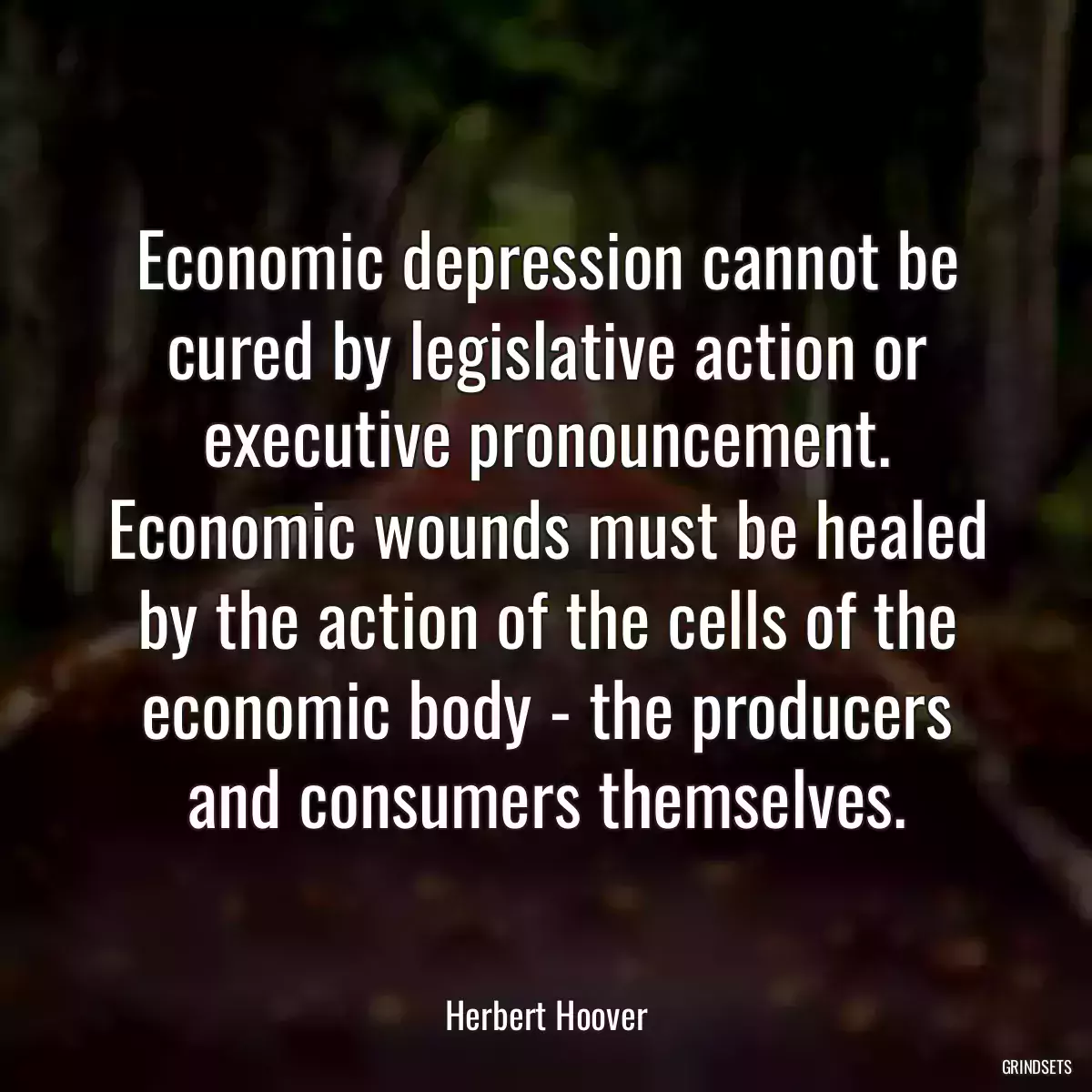 Economic depression cannot be cured by legislative action or executive pronouncement. Economic wounds must be healed by the action of the cells of the economic body - the producers and consumers themselves.