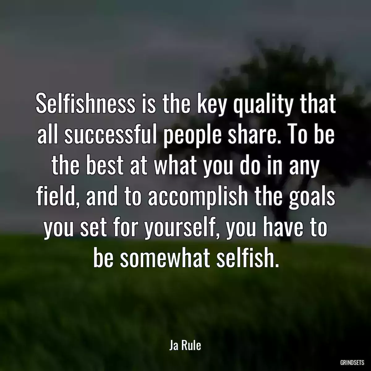 Selfishness is the key quality that all successful people share. To be the best at what you do in any field, and to accomplish the goals you set for yourself, you have to be somewhat selfish.