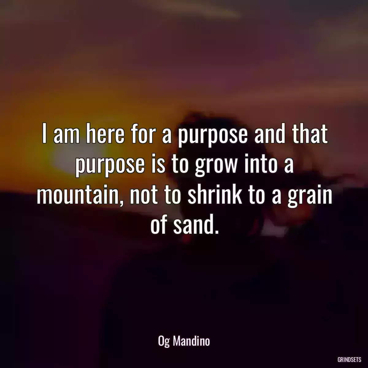 I am here for a purpose and that purpose is to grow into a mountain, not to shrink to a grain of sand.