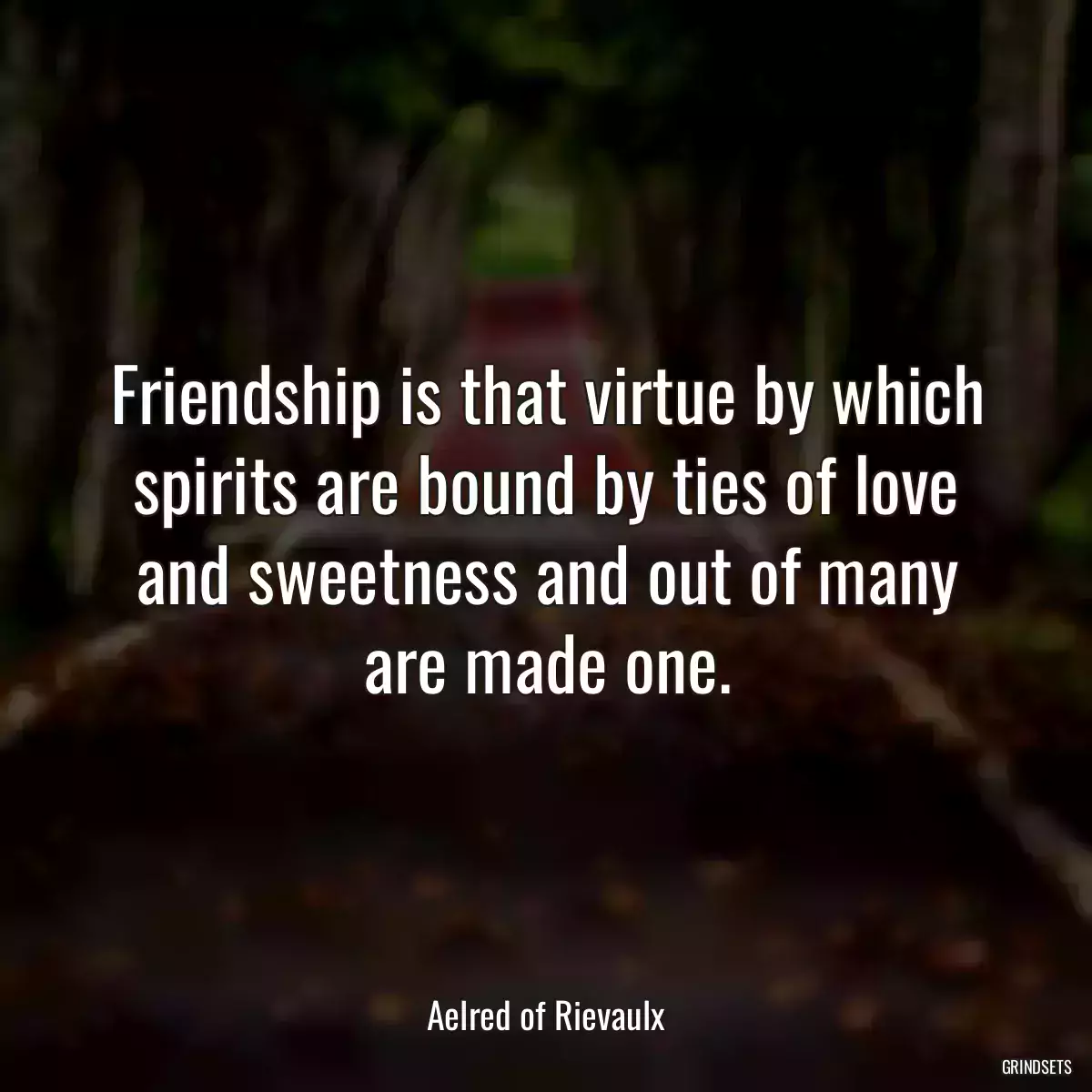 Friendship is that virtue by which spirits are bound by ties of love and sweetness and out of many are made one.