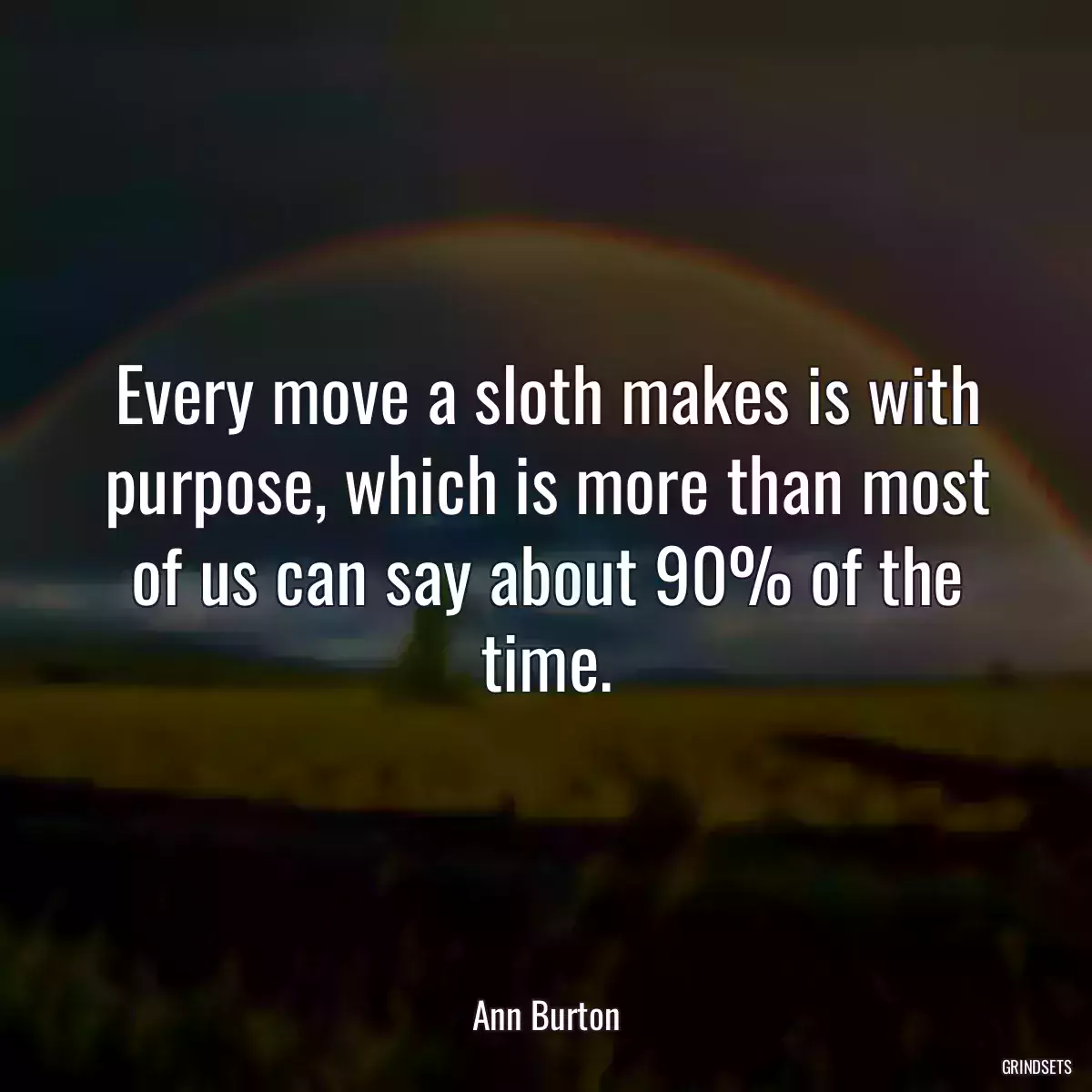 Every move a sloth makes is with purpose, which is more than most of us can say about 90% of the time.