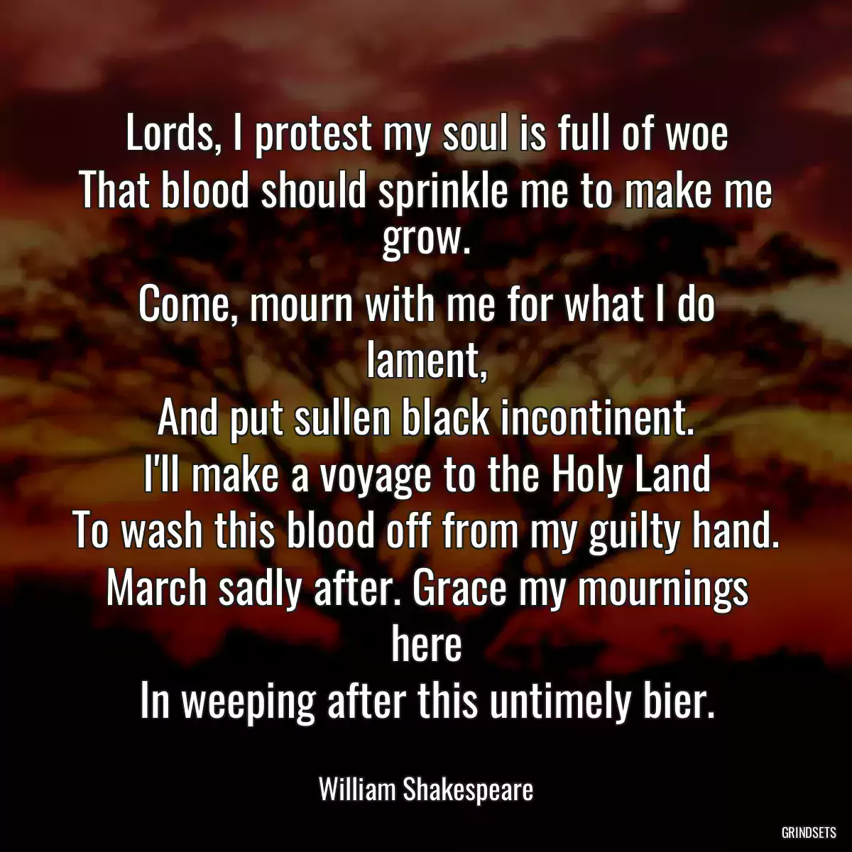 Lords, I protest my soul is full of woe
That blood should sprinkle me to make me grow.
Come, mourn with me for what I do lament,
And put sullen black incontinent.
I\'ll make a voyage to the Holy Land
To wash this blood off from my guilty hand.
March sadly after. Grace my mournings here
In weeping after this untimely bier.