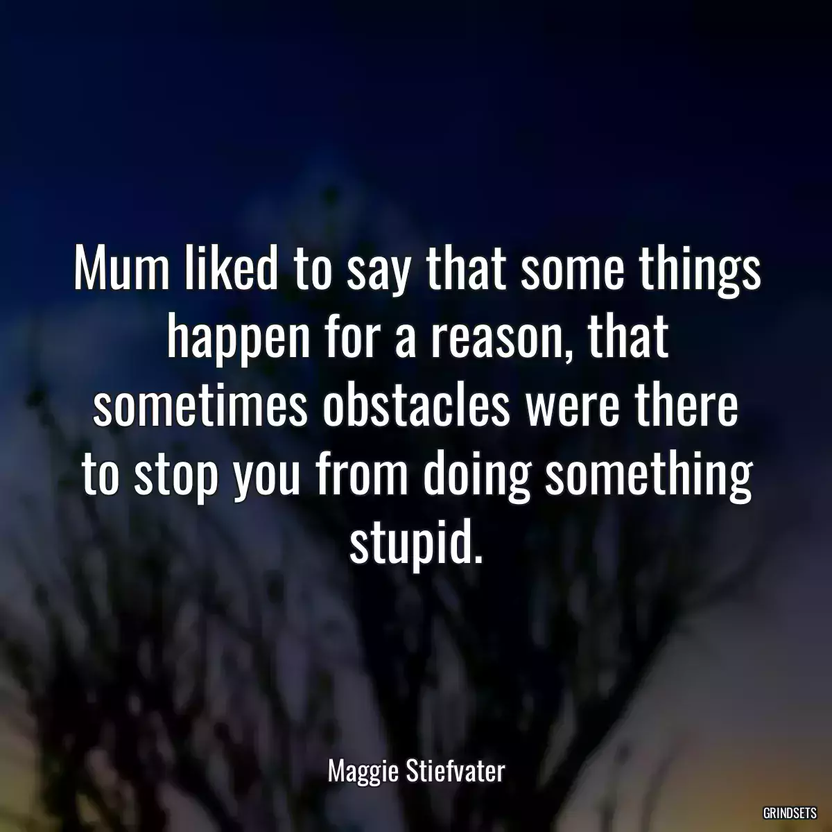 Mum liked to say that some things happen for a reason, that sometimes obstacles were there to stop you from doing something stupid.