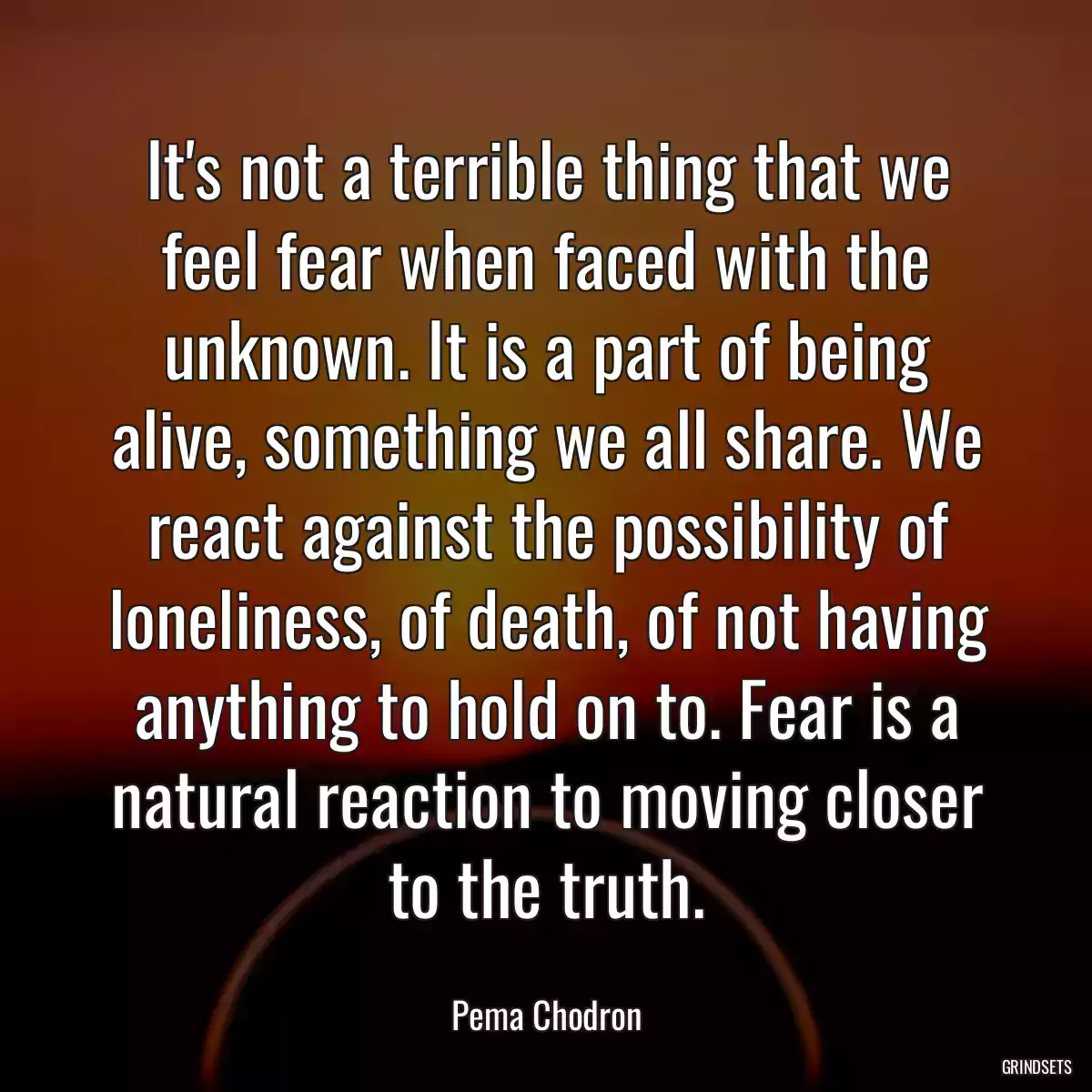 It\'s not a terrible thing that we feel fear when faced with the unknown. It is a part of being alive, something we all share. We react against the possibility of loneliness, of death, of not having anything to hold on to. Fear is a natural reaction to moving closer to the truth.