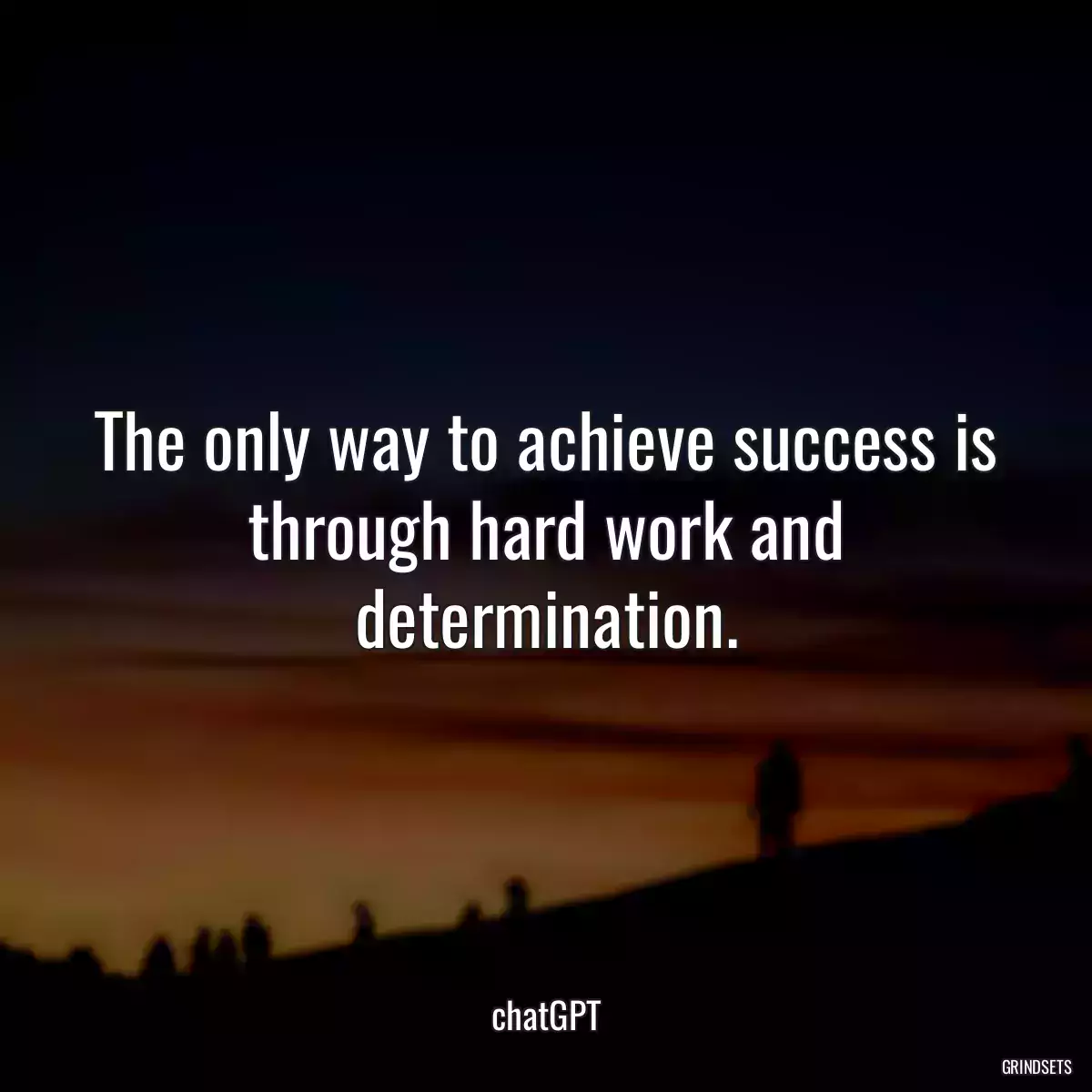 The only way to achieve success is through hard work and determination.