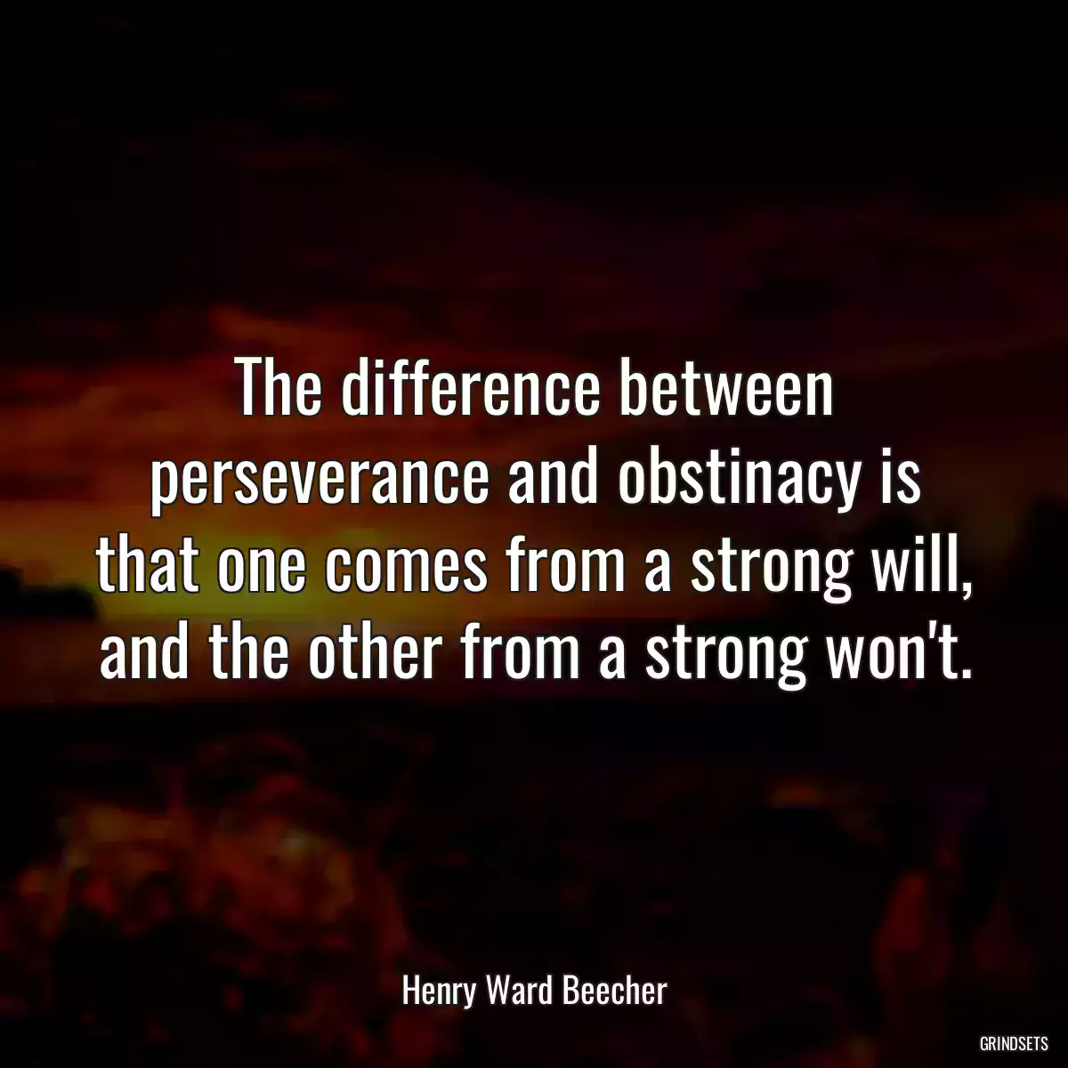 The difference between perseverance and obstinacy is that one comes from a strong will, and the other from a strong won\'t.