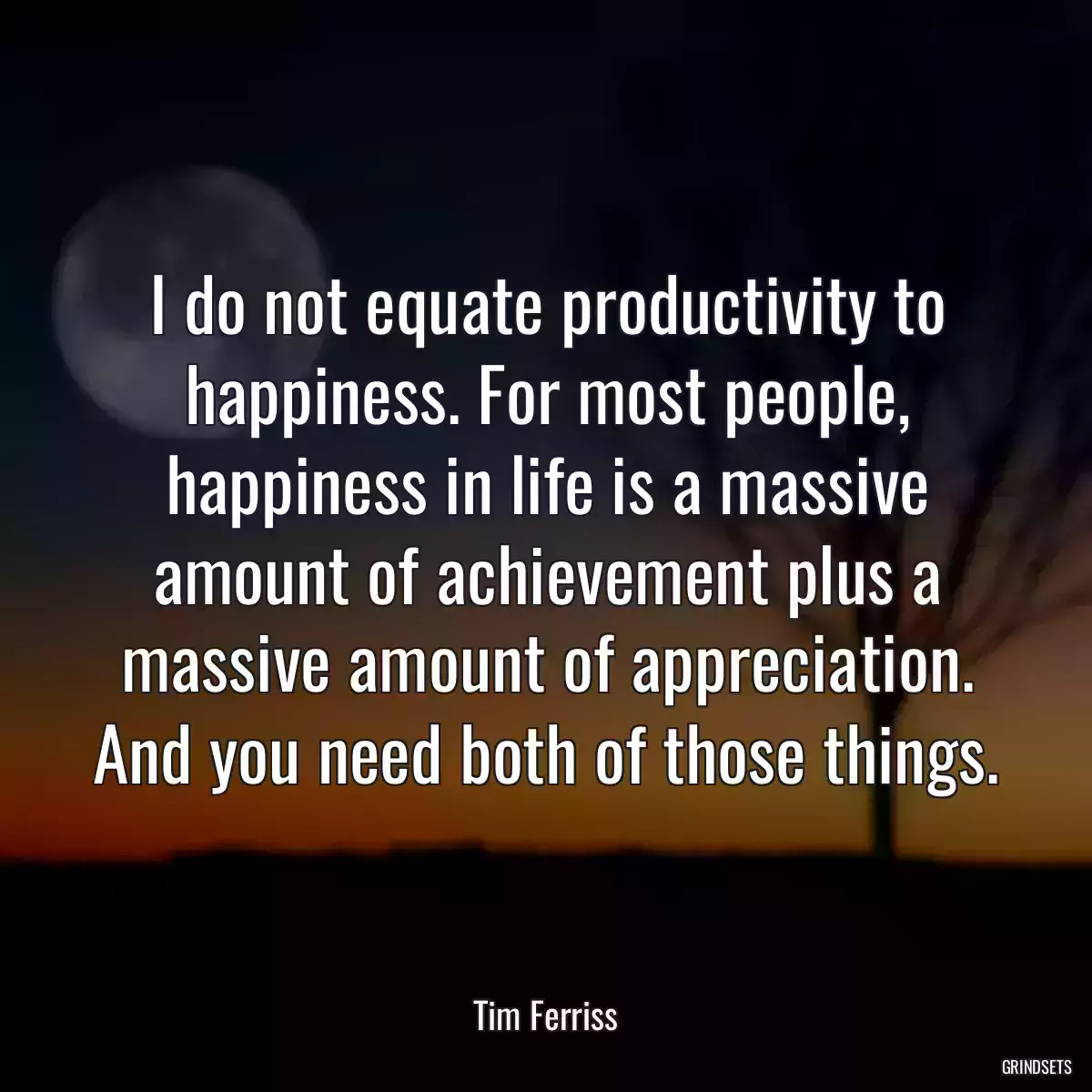 I do not equate productivity to happiness. For most people, happiness in life is a massive amount of achievement plus a massive amount of appreciation. And you need both of those things.