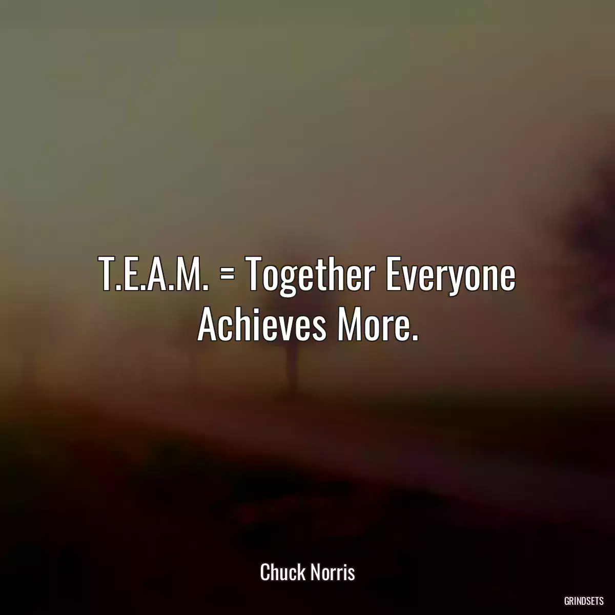 T.E.A.M. = Together Everyone Achieves More.