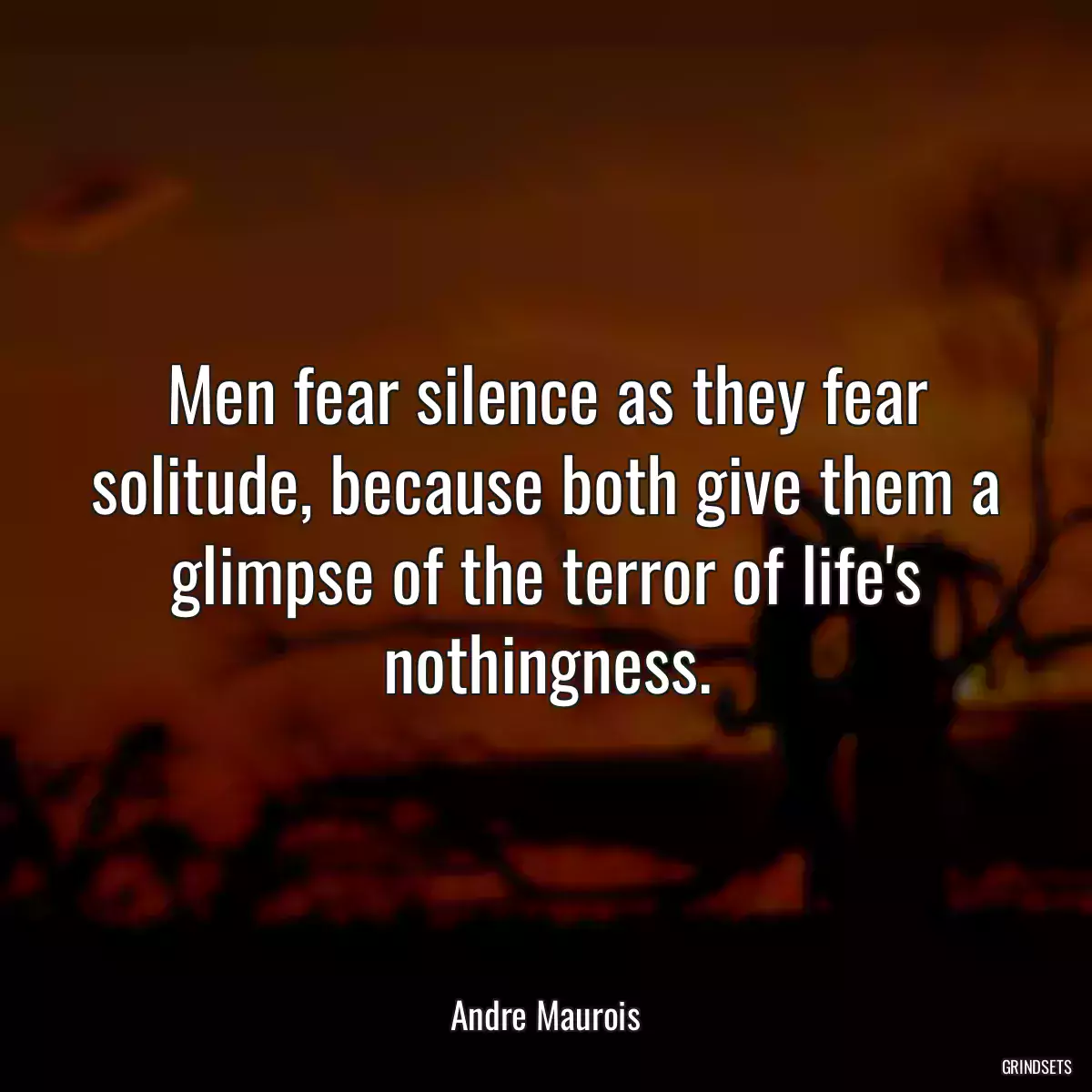 Men fear silence as they fear solitude, because both give them a glimpse of the terror of life\'s nothingness.