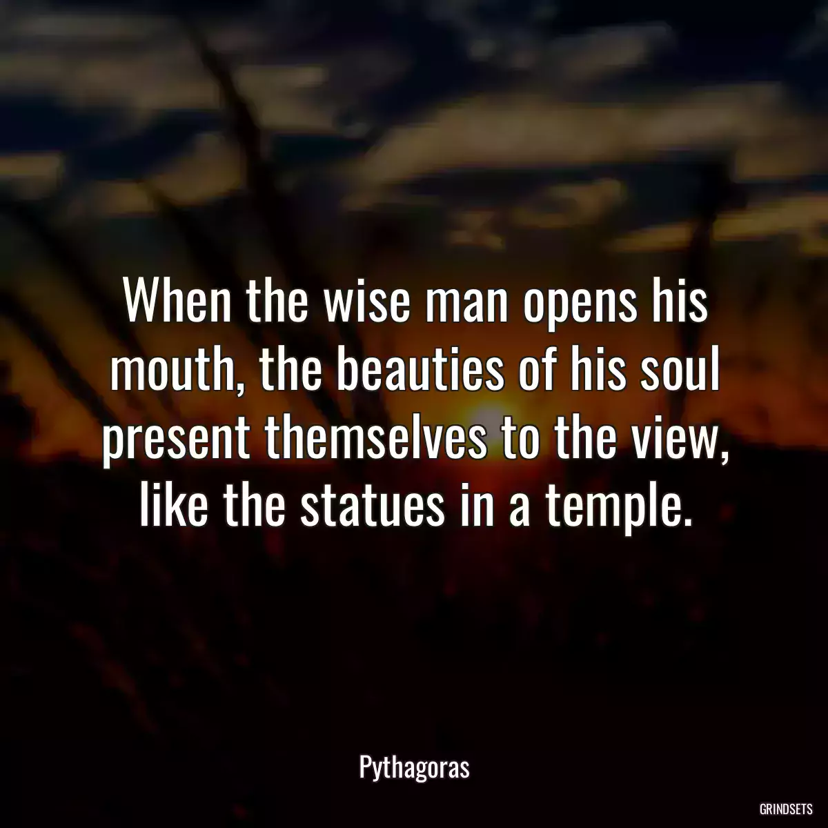 When the wise man opens his mouth, the beauties of his soul present themselves to the view, like the statues in a temple.