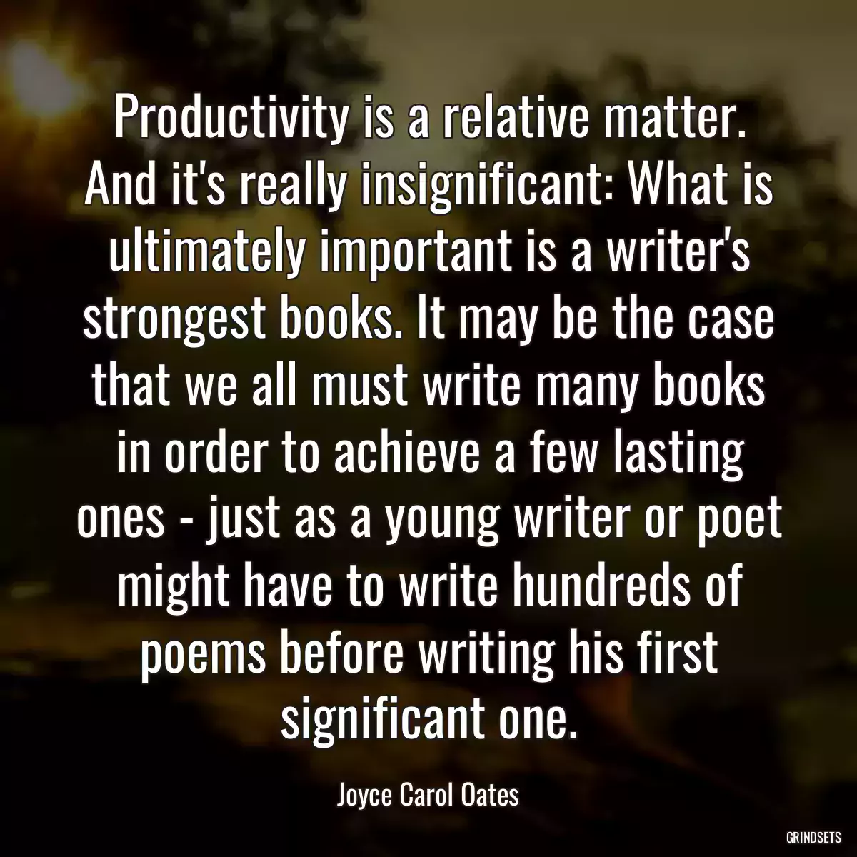 Productivity is a relative matter. And it\'s really insignificant: What is ultimately important is a writer\'s strongest books. It may be the case that we all must write many books in order to achieve a few lasting ones - just as a young writer or poet might have to write hundreds of poems before writing his first significant one.